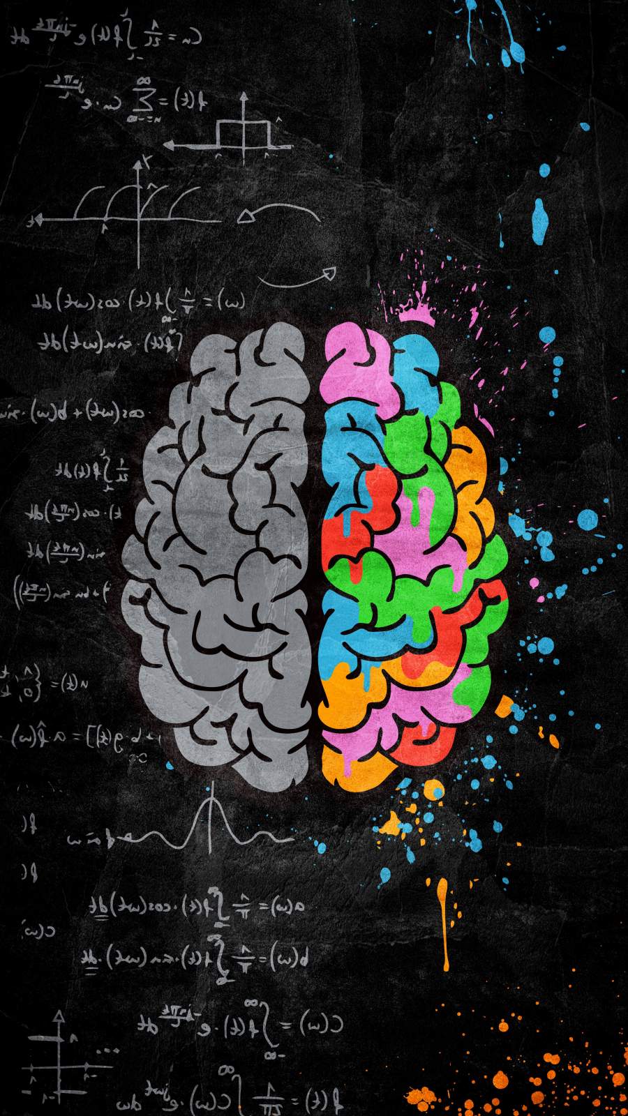 900x1600 Creative Brain IPhone Wallpaper Wallpaper : iPhone Wallpaper