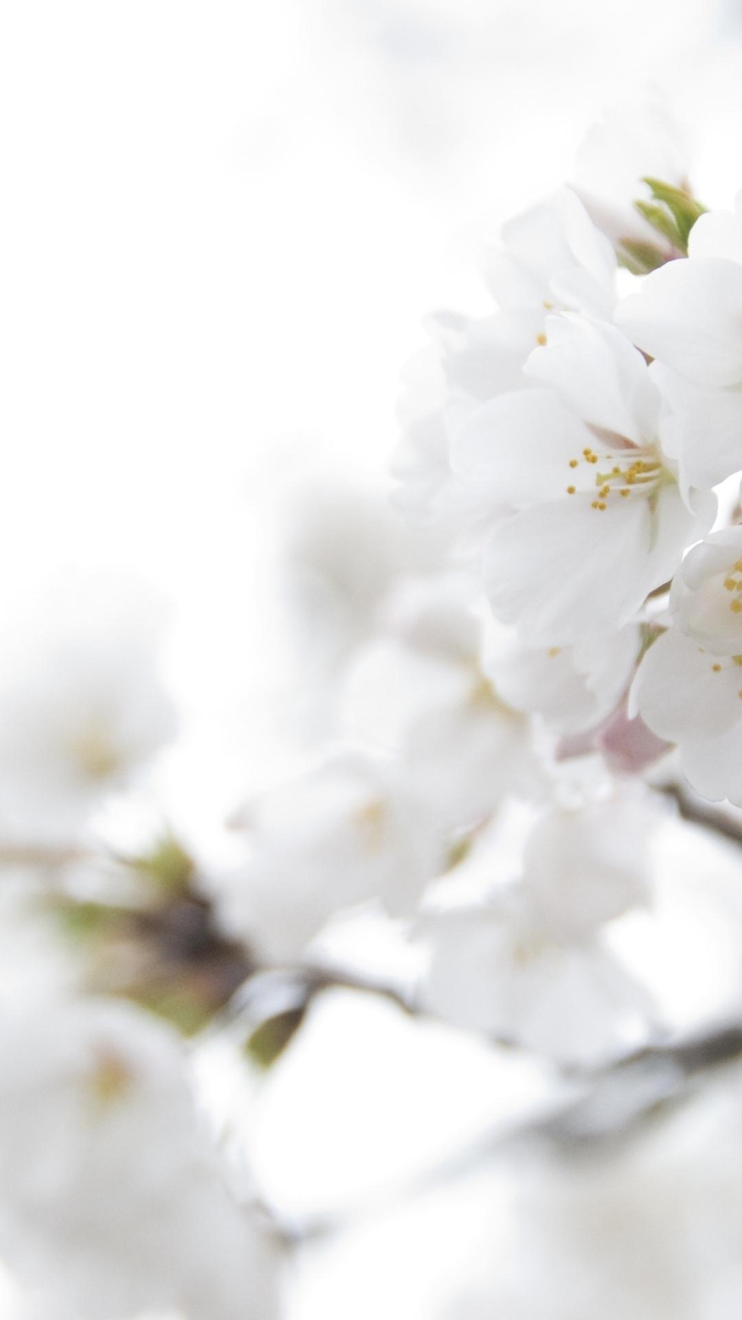 1080x1920 Wallpaper Weekends: Simply White iPhone Wallpaper