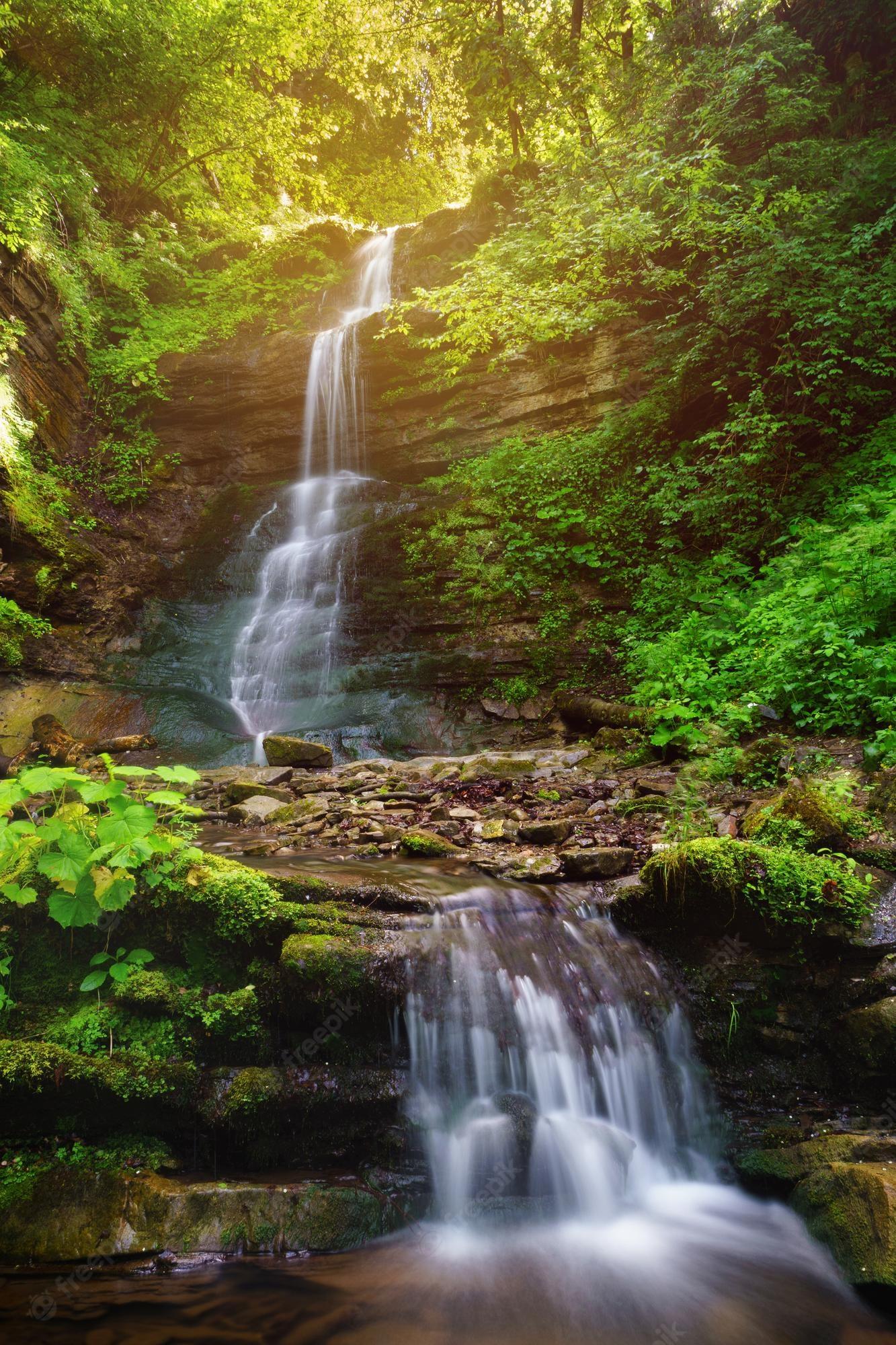 1333x2000 Premium Photo. Vibrant calm landscape background beautiful stream waterfall in tropical rainforest sunrise time summer morning sun shine effect tranquil nature relax travel vacations wallpaper