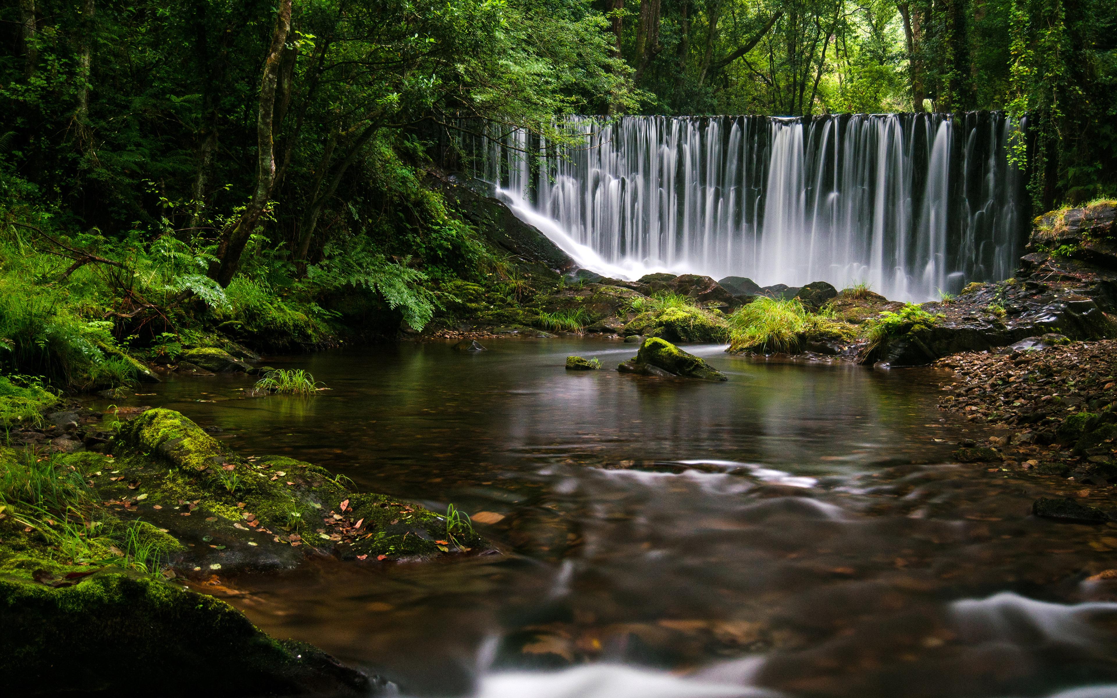 3840x2400 Rainforest HD Wallpaper and Background