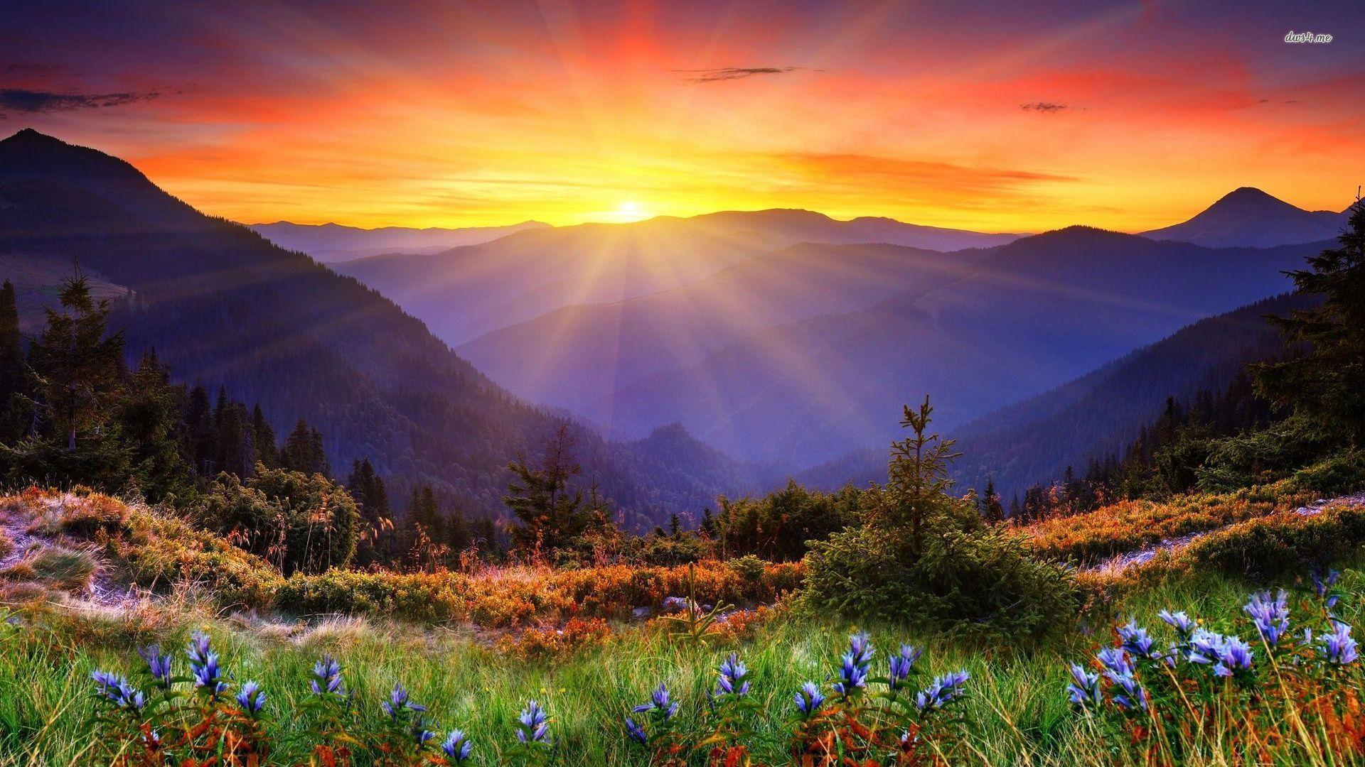 1920x1080 Sunrise Spring Wallpaper