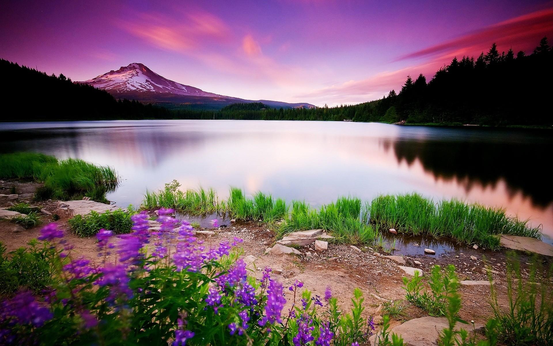 1920x1200 Spring Wallpaper for Computer