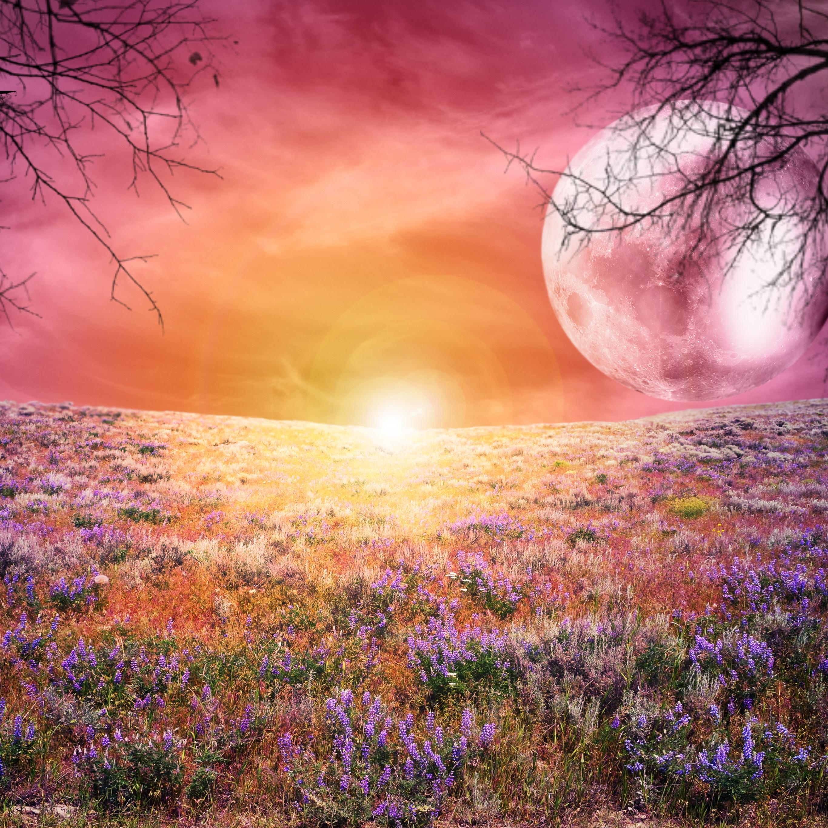 Sunrise Sunset Spring Wallpapers - Top Free Sunrise Sunset Spring ...