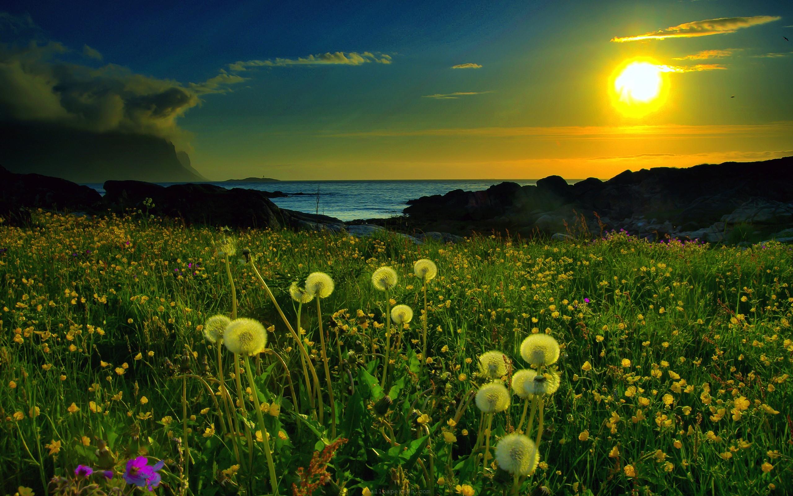 2560x1600 Spring Nature Sunset