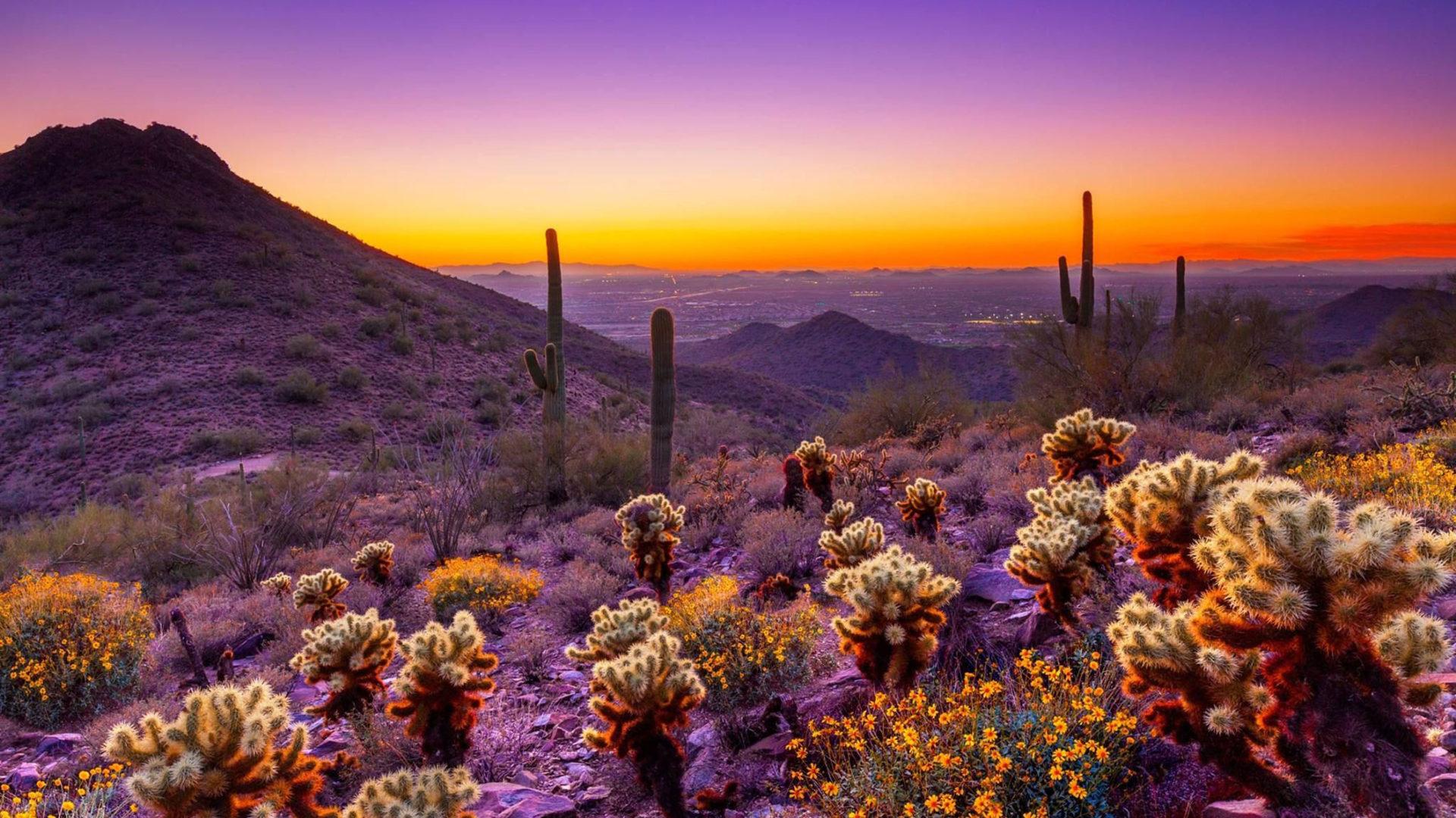 1920x1080 Sunset Desert area Orange Sky Clouds Desktop HD Wallpaper
