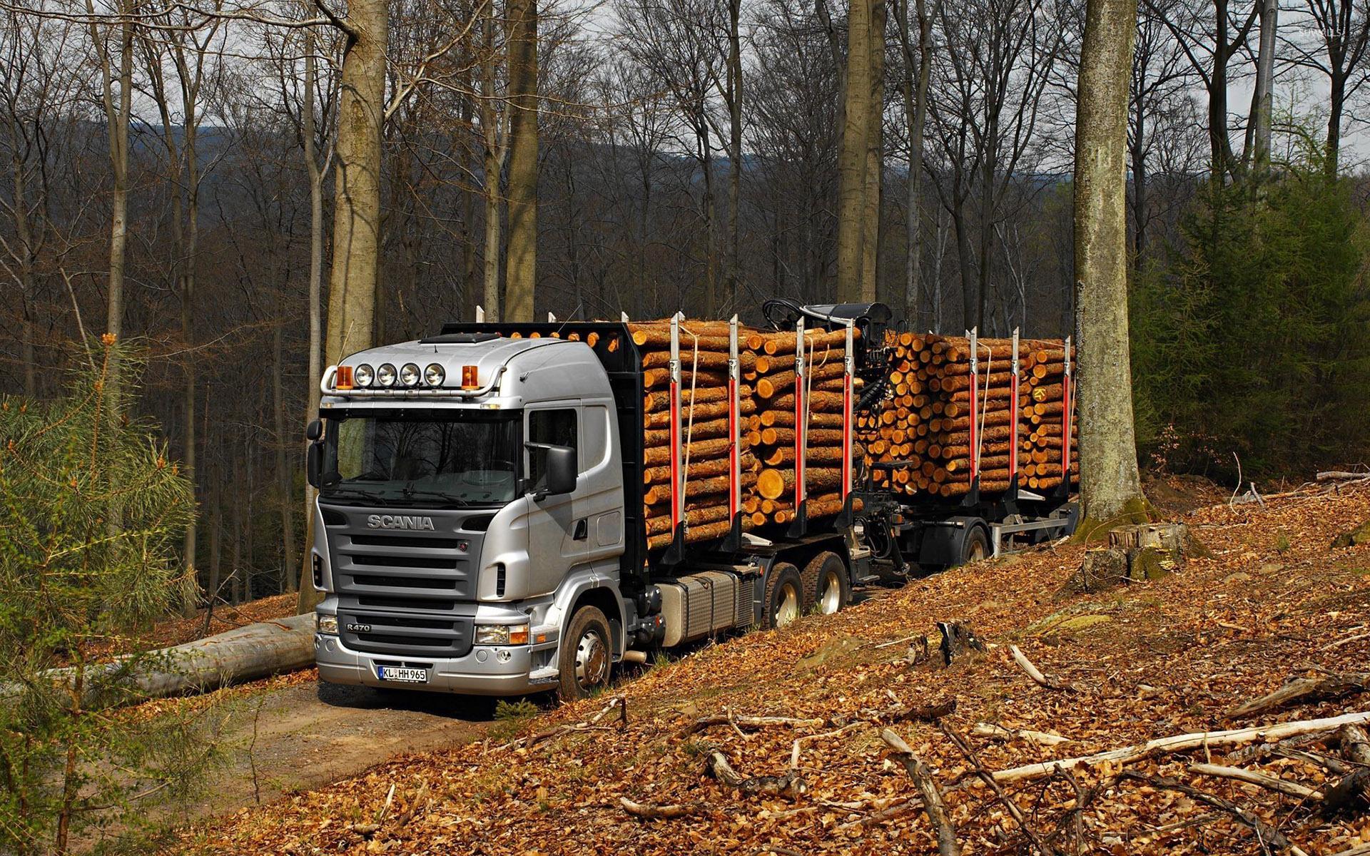 Грузовики лес. Скания лесовоз. Перевозка леса. Транспортировка древесины. Машина для перевоза леса.