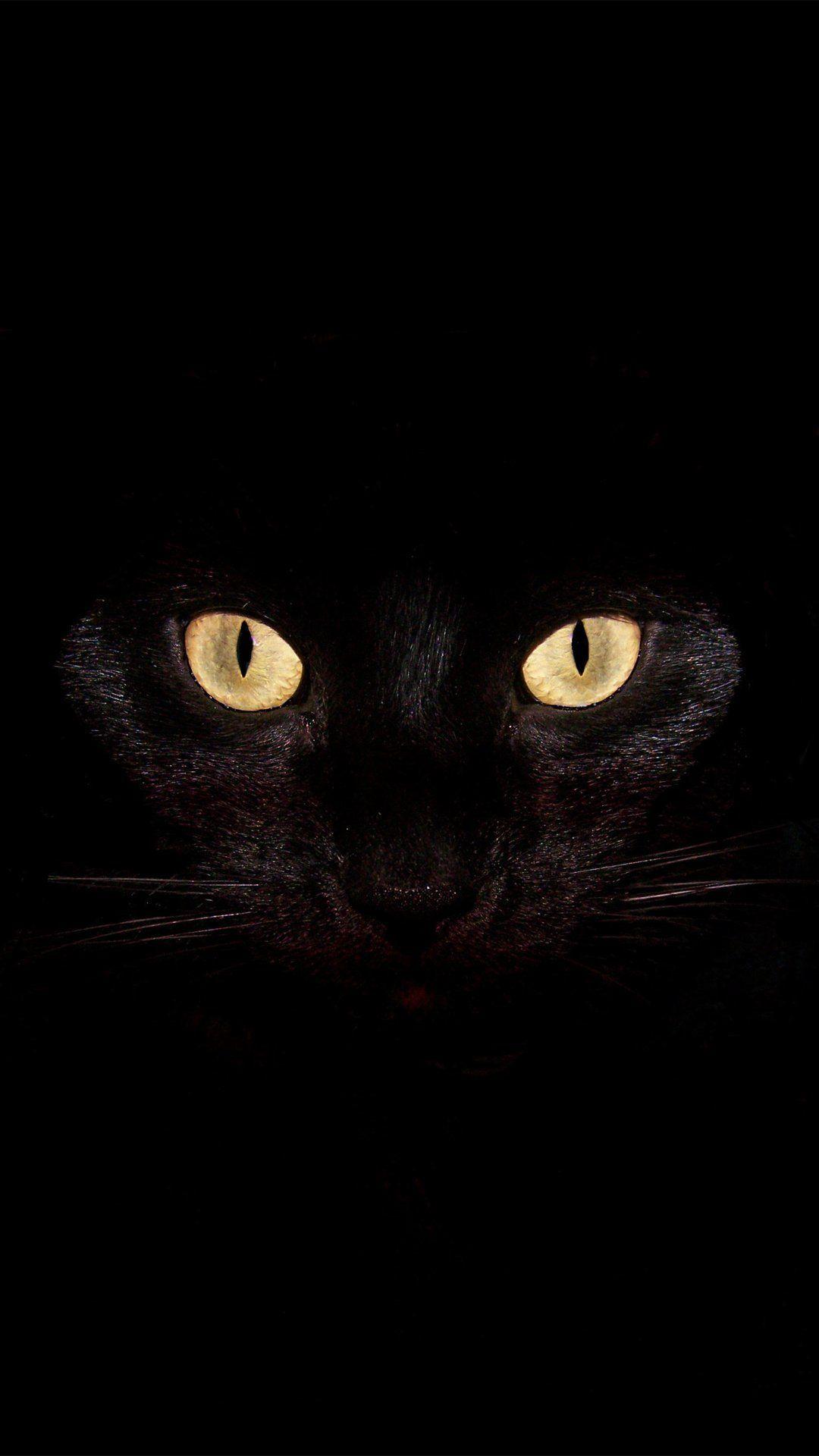 1080x1920 Wallpaper Weekends: Halloween Terrors for Your iPhone