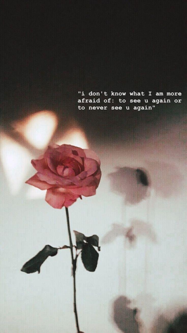 736x1308 Aesthetic Wallpaper / X