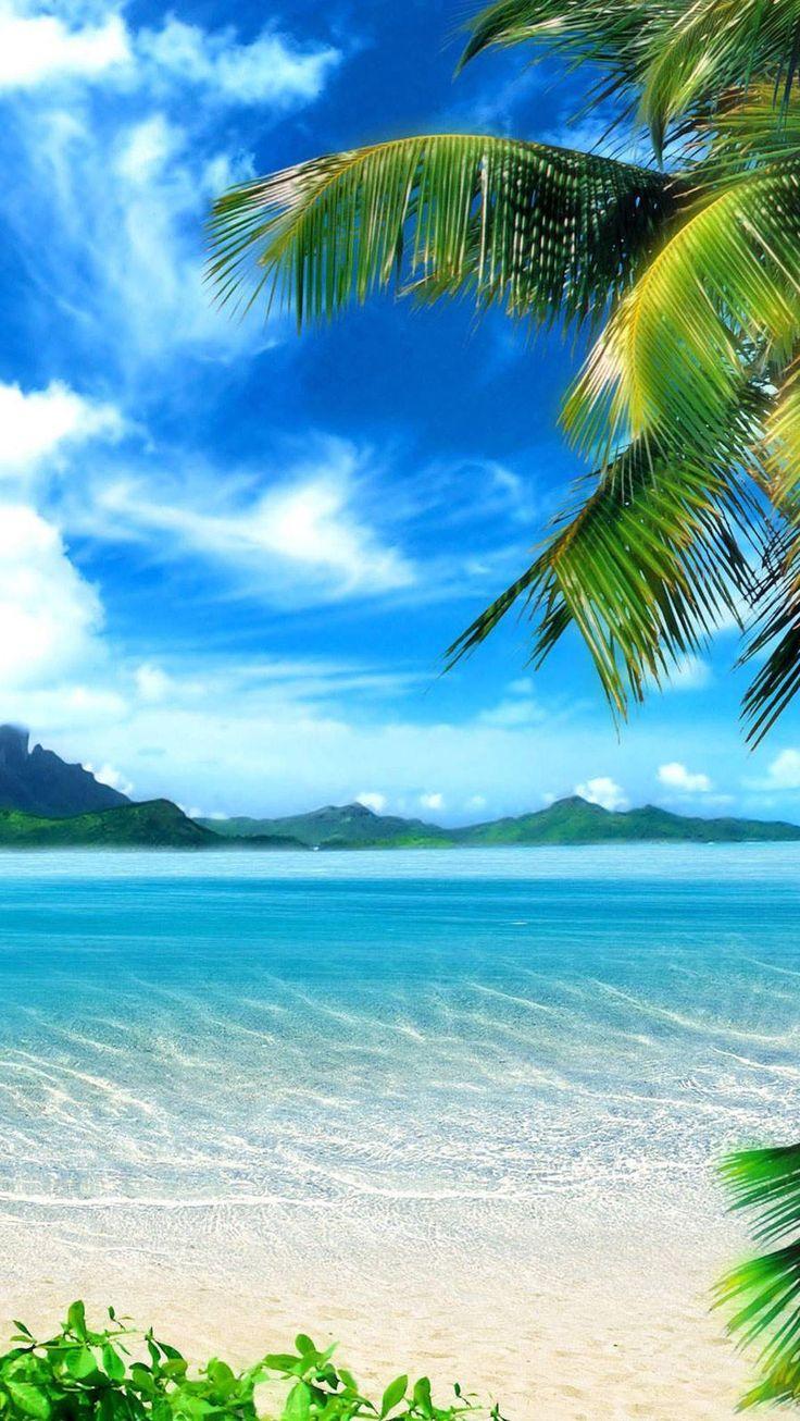 736x1306 Beach iPhone Wallpaper Free Beach iPhone Background - Beach wallpaper, Beautiful beaches, Paradise wallpaper