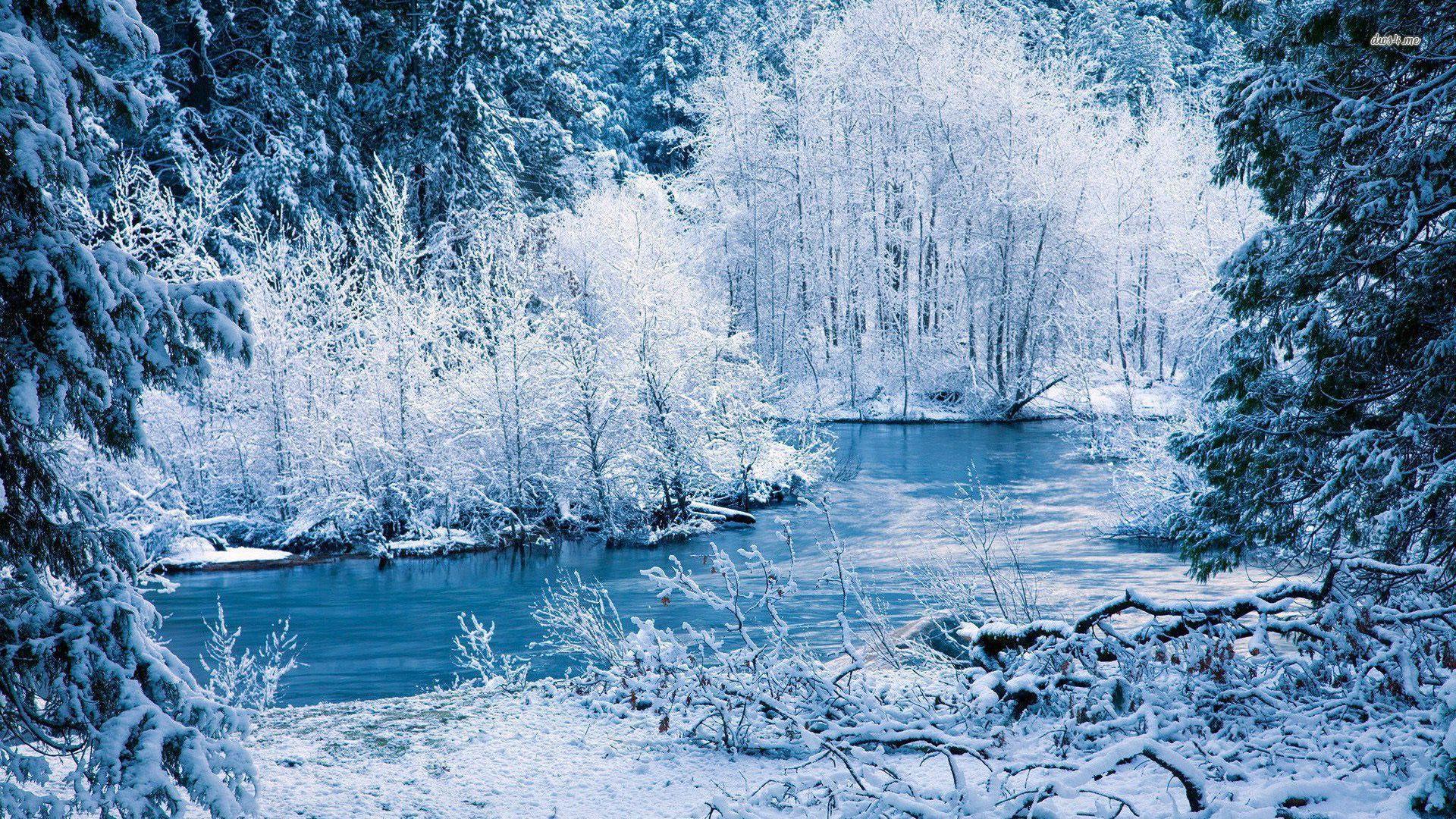 1920x1080 Winter National Forest Wallpaper