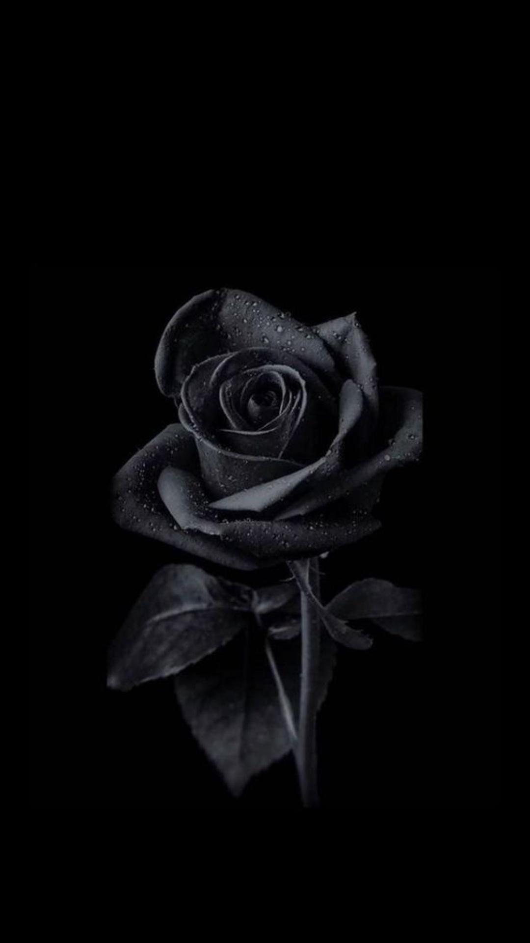 1080x1920 Black Wallpaper Black
