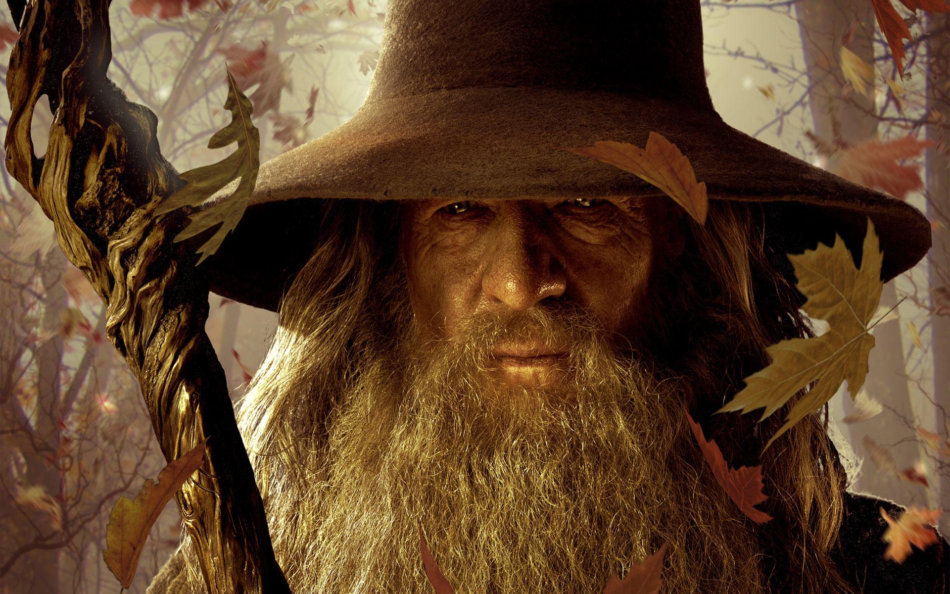1920x1200 The Hobbit: An Unexpected Journey image gandalf HD wallpaper
