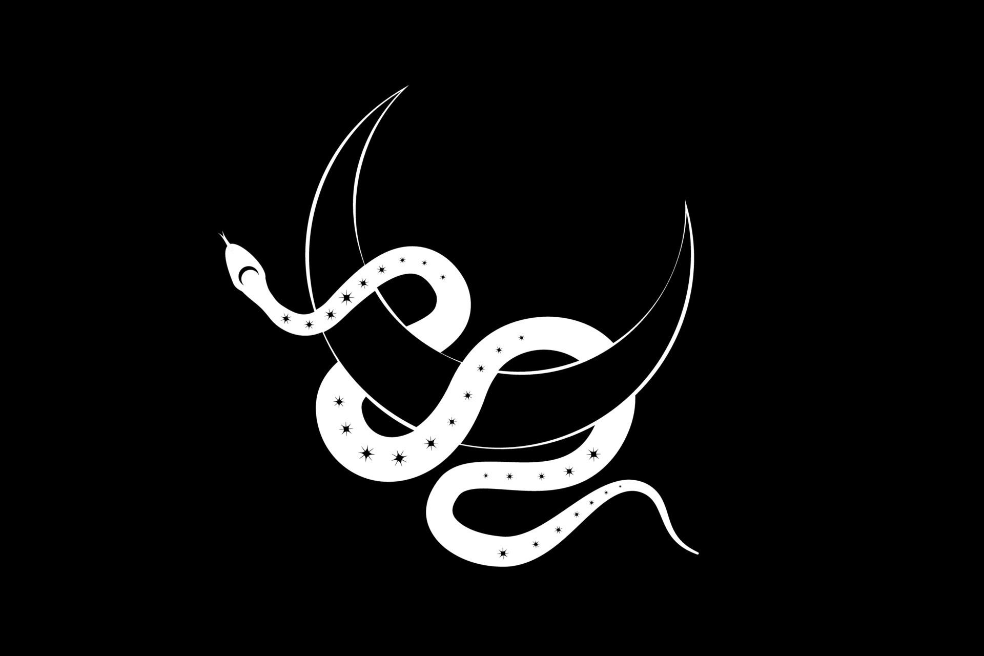 1920x1280 White Snake on Magic mystic Crescent Moon. Sacred geometry, celestial pagan Wiccan goddess symbol. Half moon wicca banner sign, tattoo, energy circle, boho style, vector isolated on black background 5951606 Vector Art