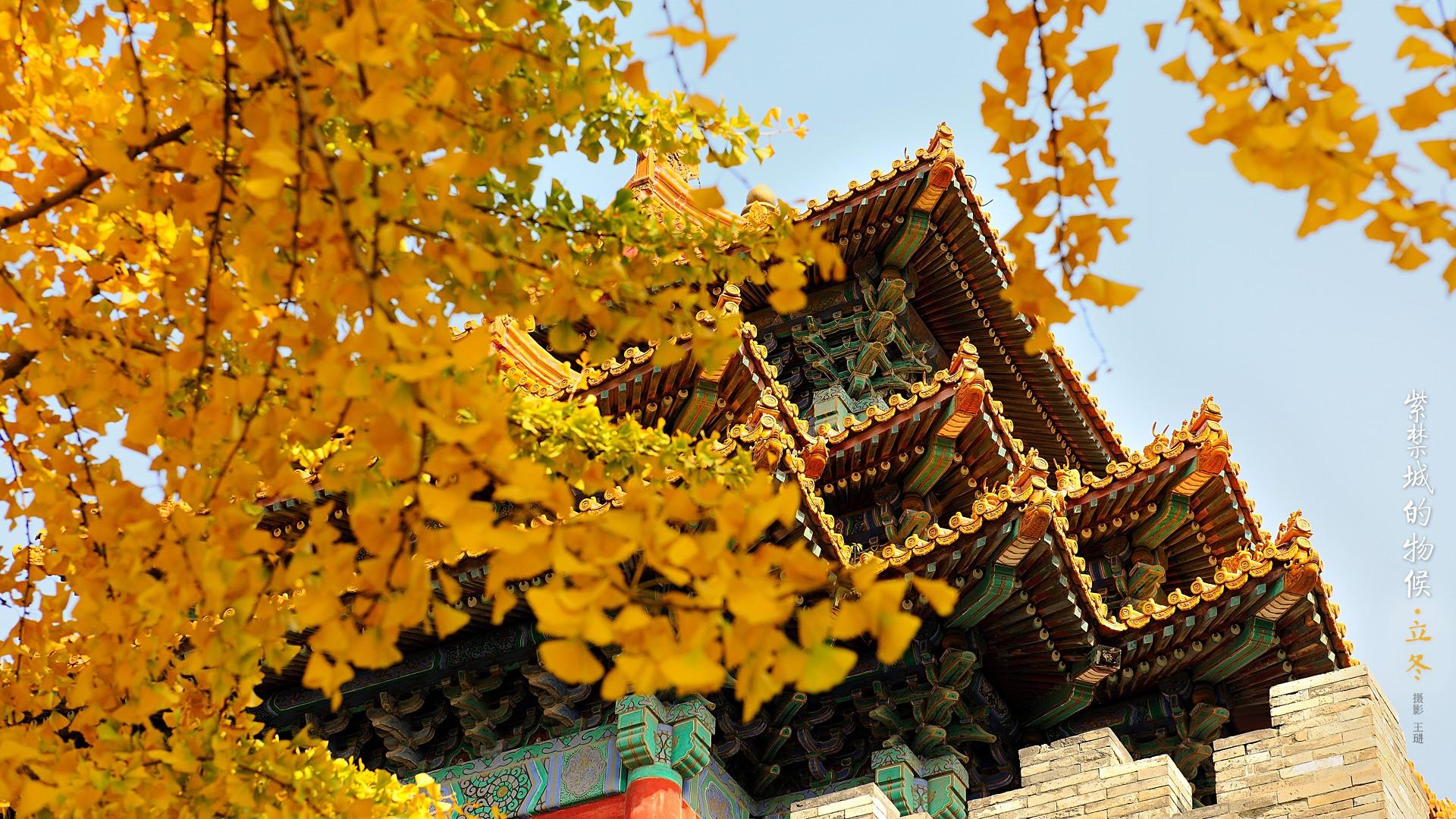 1920x1080 Chinese architecture, architecture, the Imperial Palace Gallery HD Wallpaper