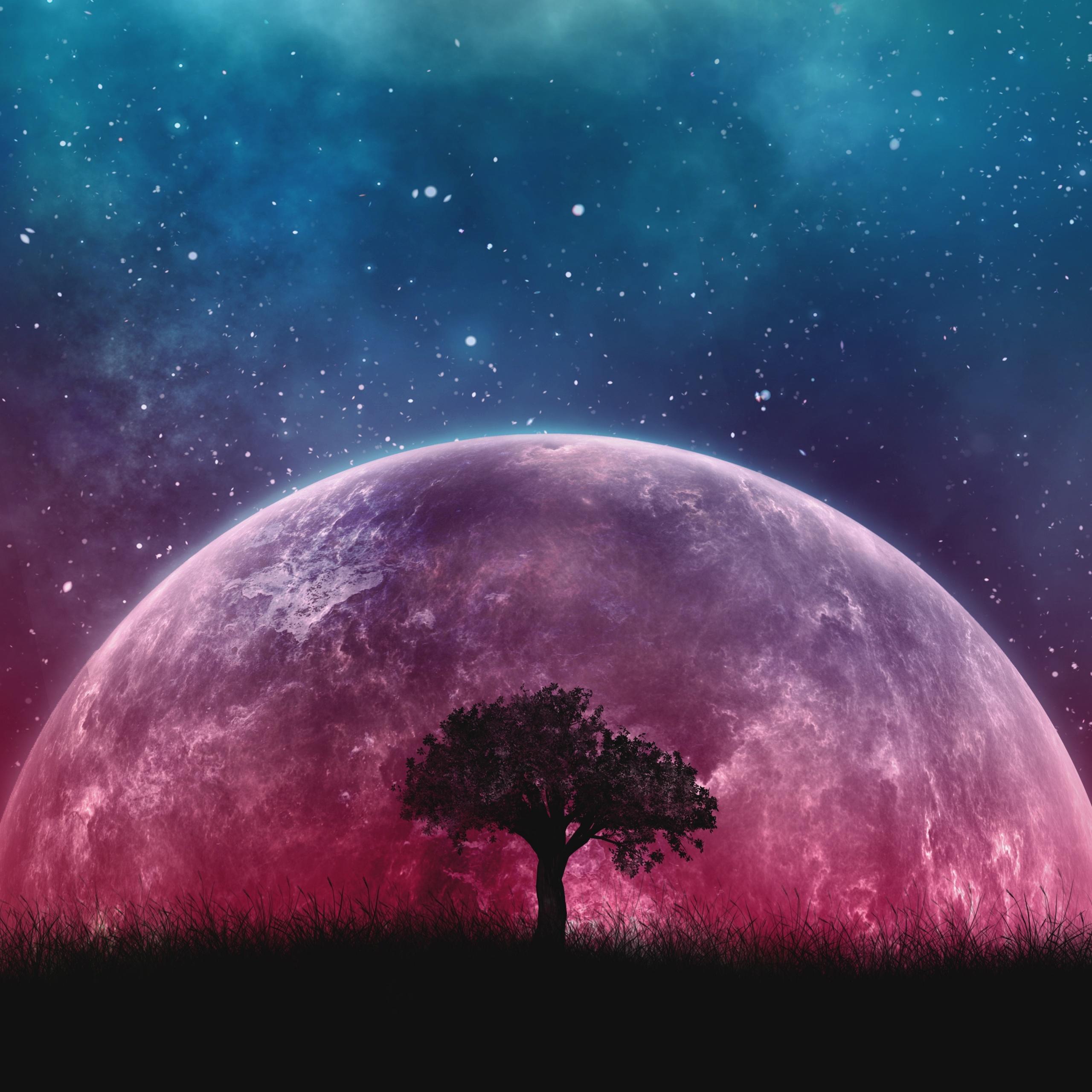 2560x2560 Lone tree Wallpaper 4K, Planet, Surreal, Night, Space
