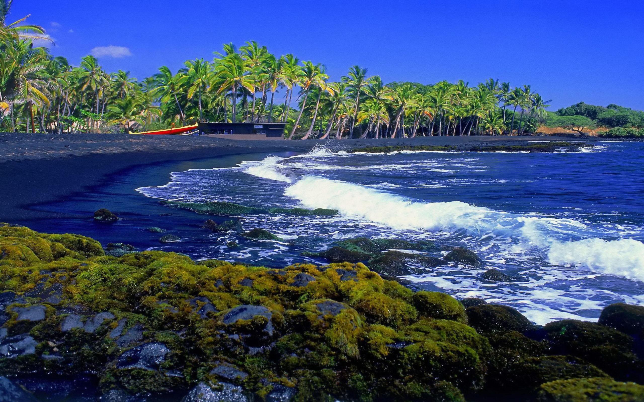 2560x1600 Hawaii Blue Waves Black Beach Palm Tree Wallpaper HD :