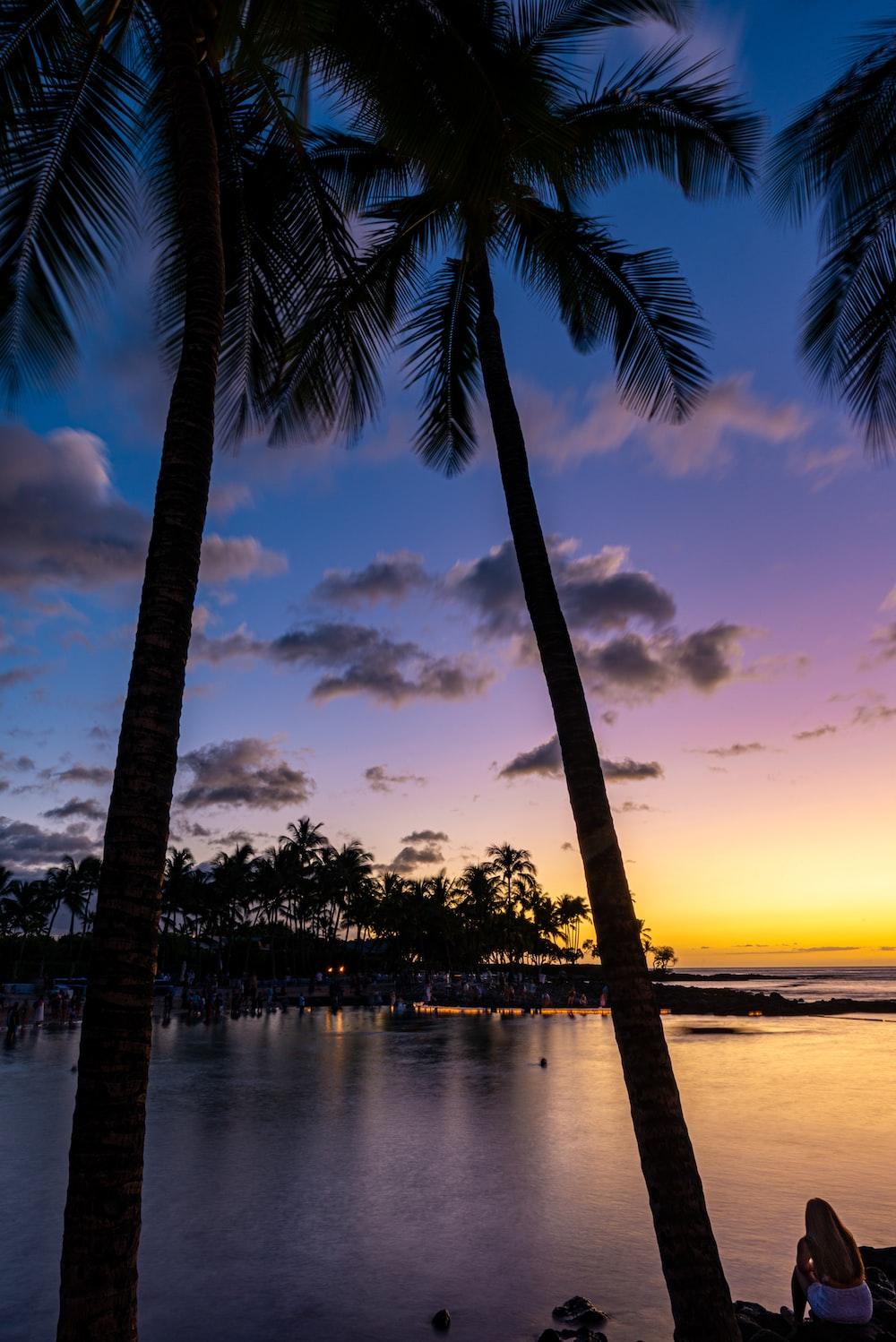 1000x1498 Big Island Hawaii Picture. Download Free Image