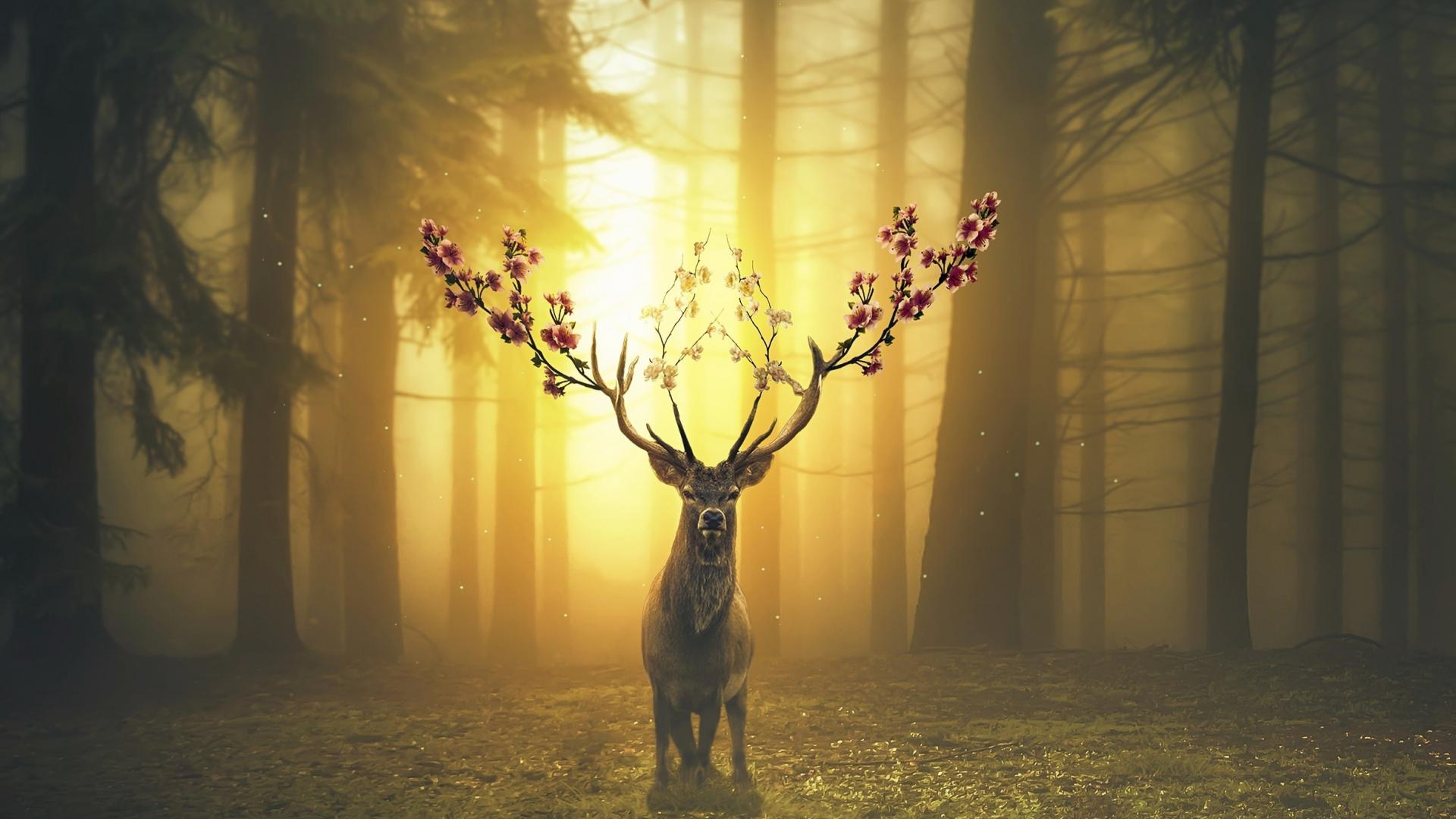 1920x1080 Download wallpaper 1920x1080 deer, forest, surreal, full hd, hdtv, fhd, 1080p wallpaper, 1920x1080 HD background, 18648