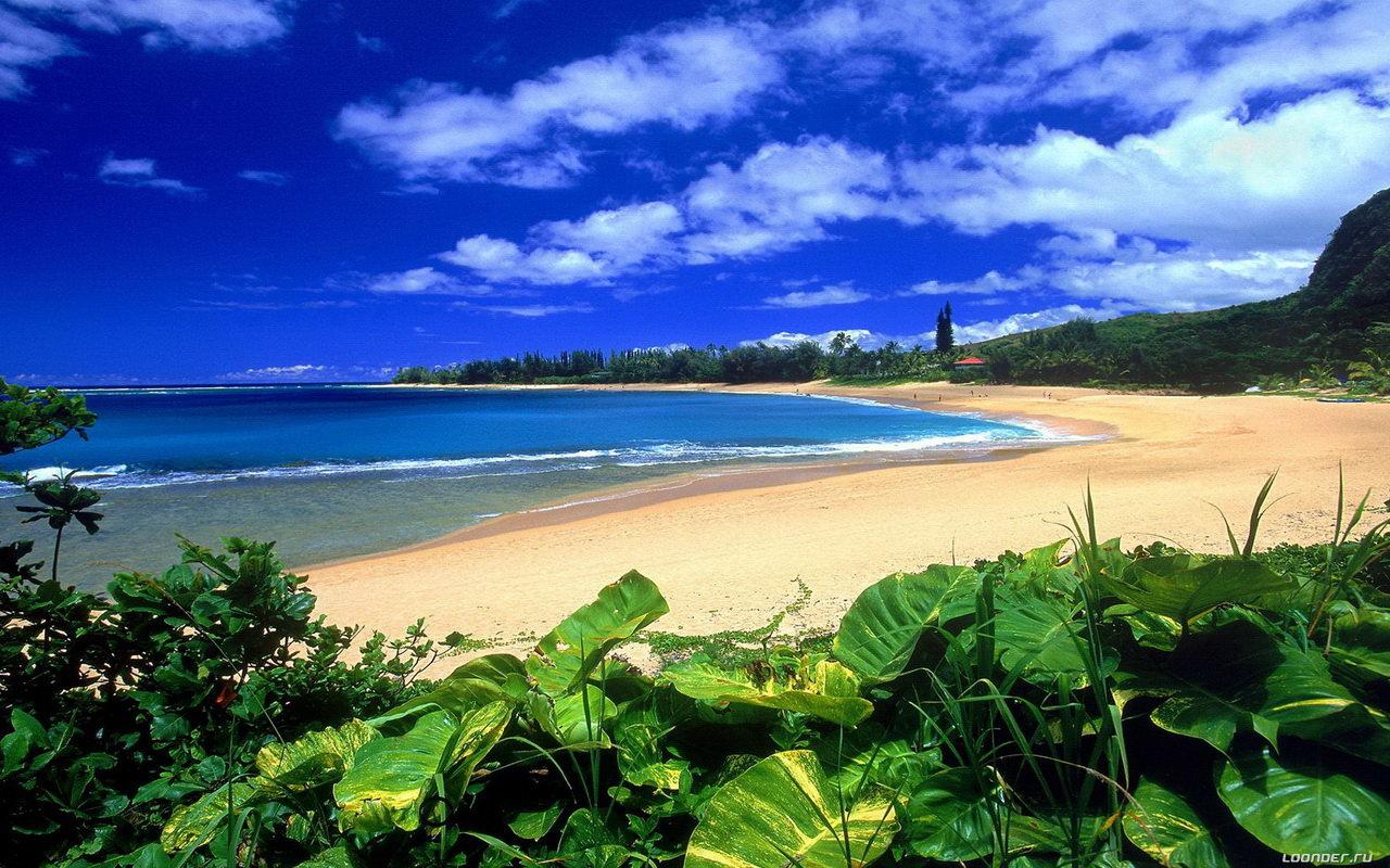 1280x800 Hawaii Beach Picture for Wallpaper