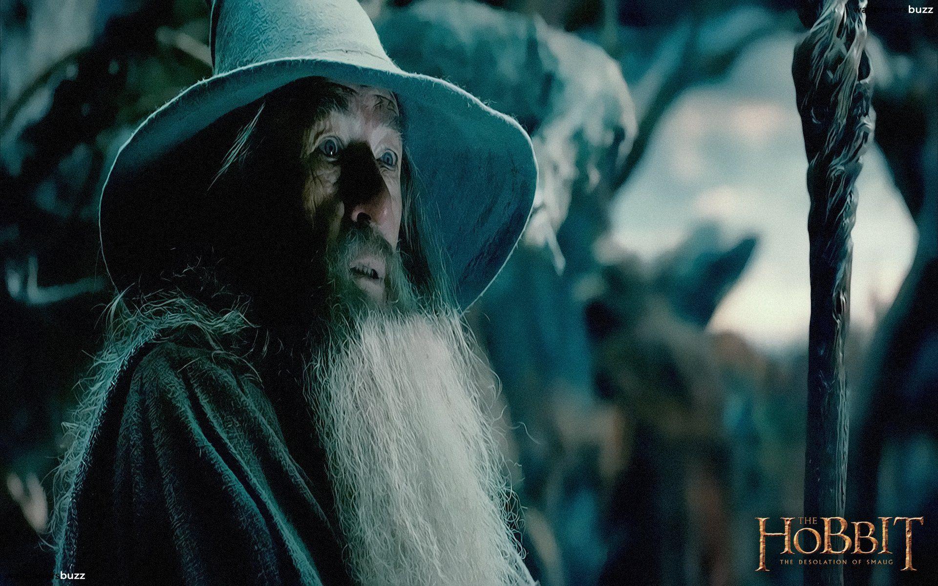 1920x1200 Gandalf HD Wallpaper