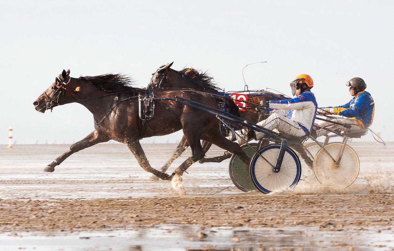 1332x850 Wallpaper race, horses, running image for desktop, section спорт