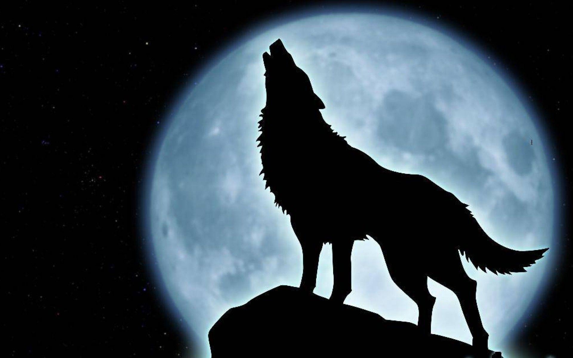 1920x1200 Silhouette template for logo. Project 4 Campaign. Wolf
