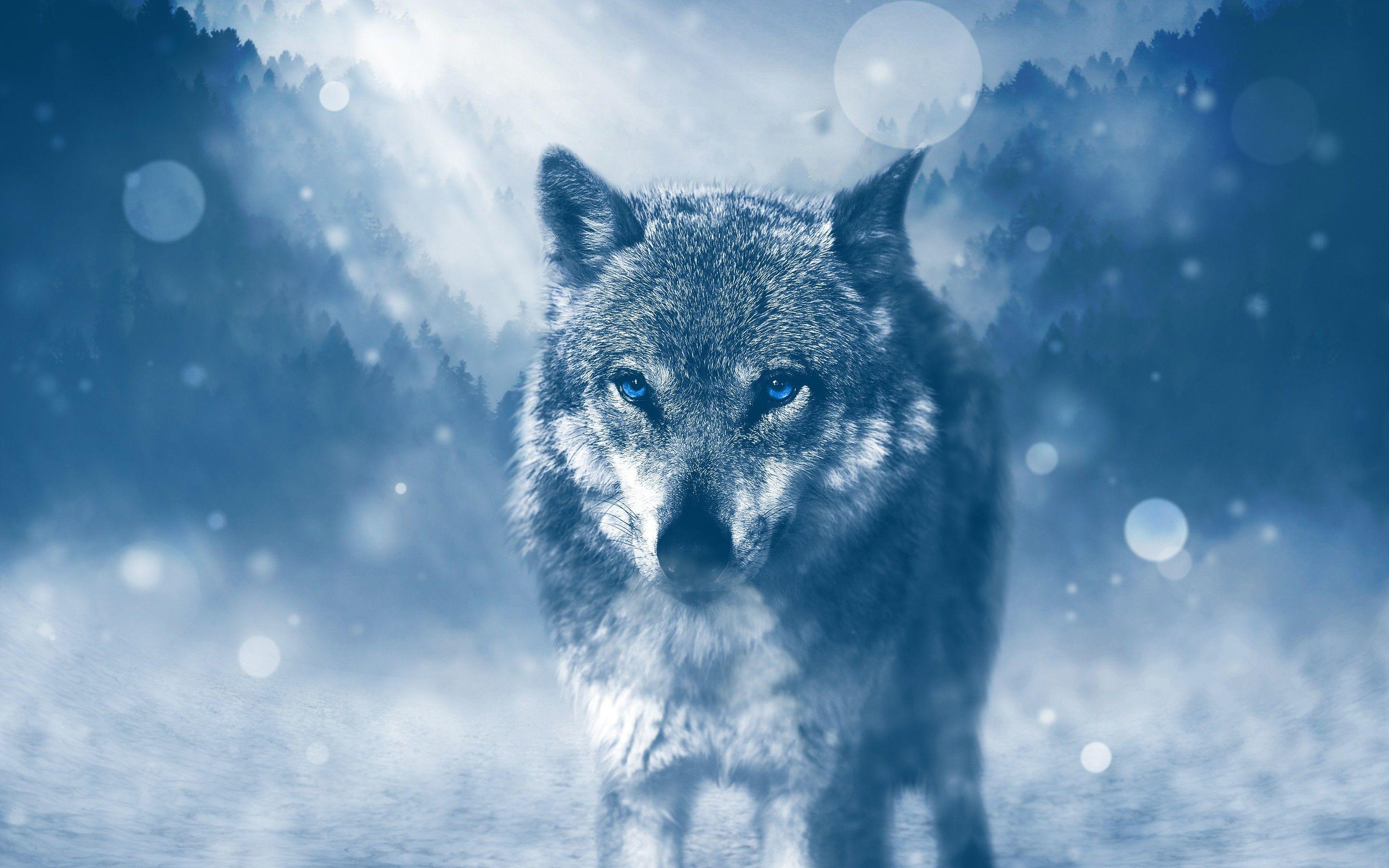 2880x1800 Winter Wolf 4k Wallpaper