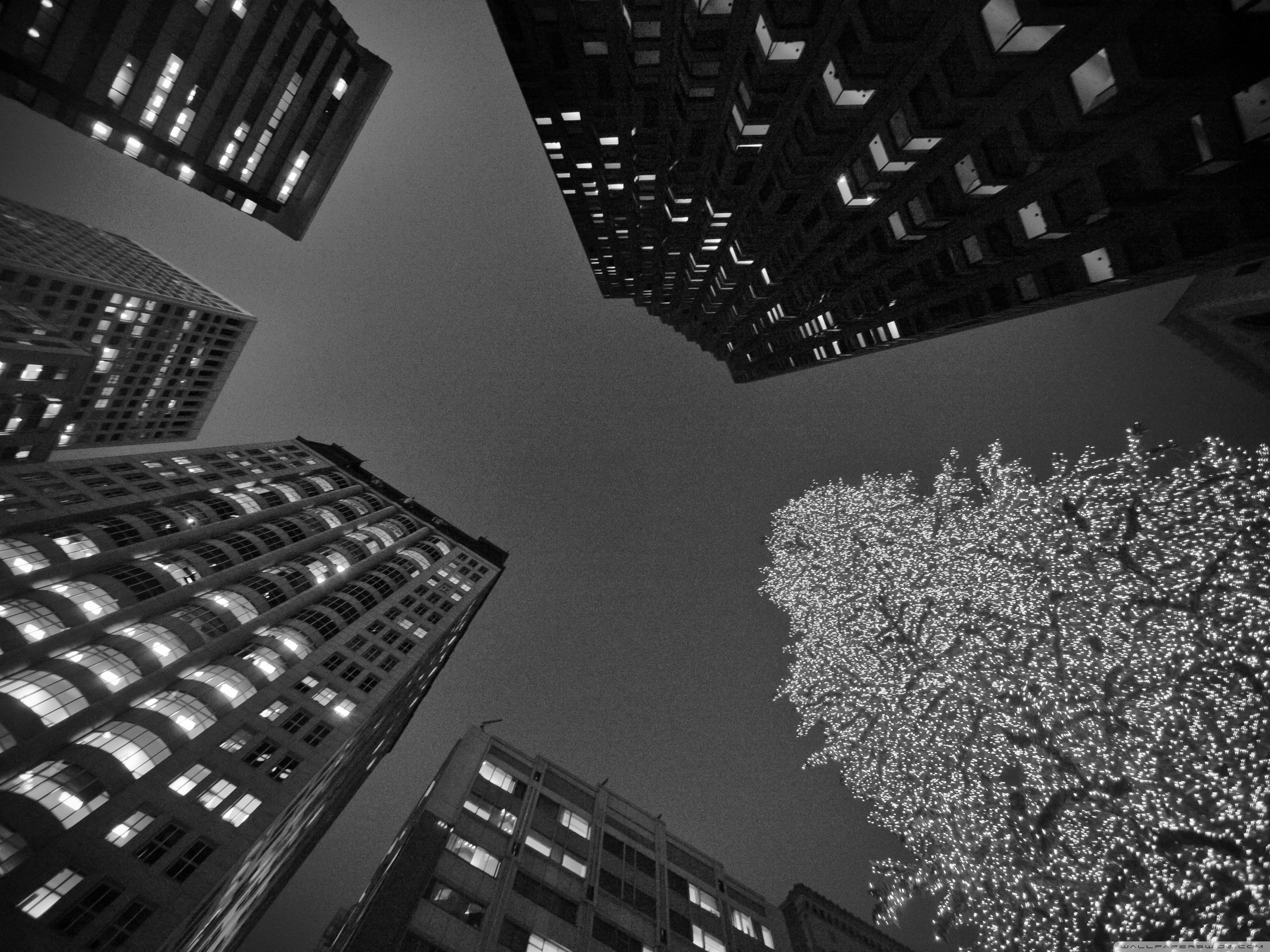 3200x2400 Black And White San Francisco Christmas Ultra HD Desktop Background Wallpaper for 4K UHD TV : Widescreen & UltraWide Desktop & Laptop : Tablet