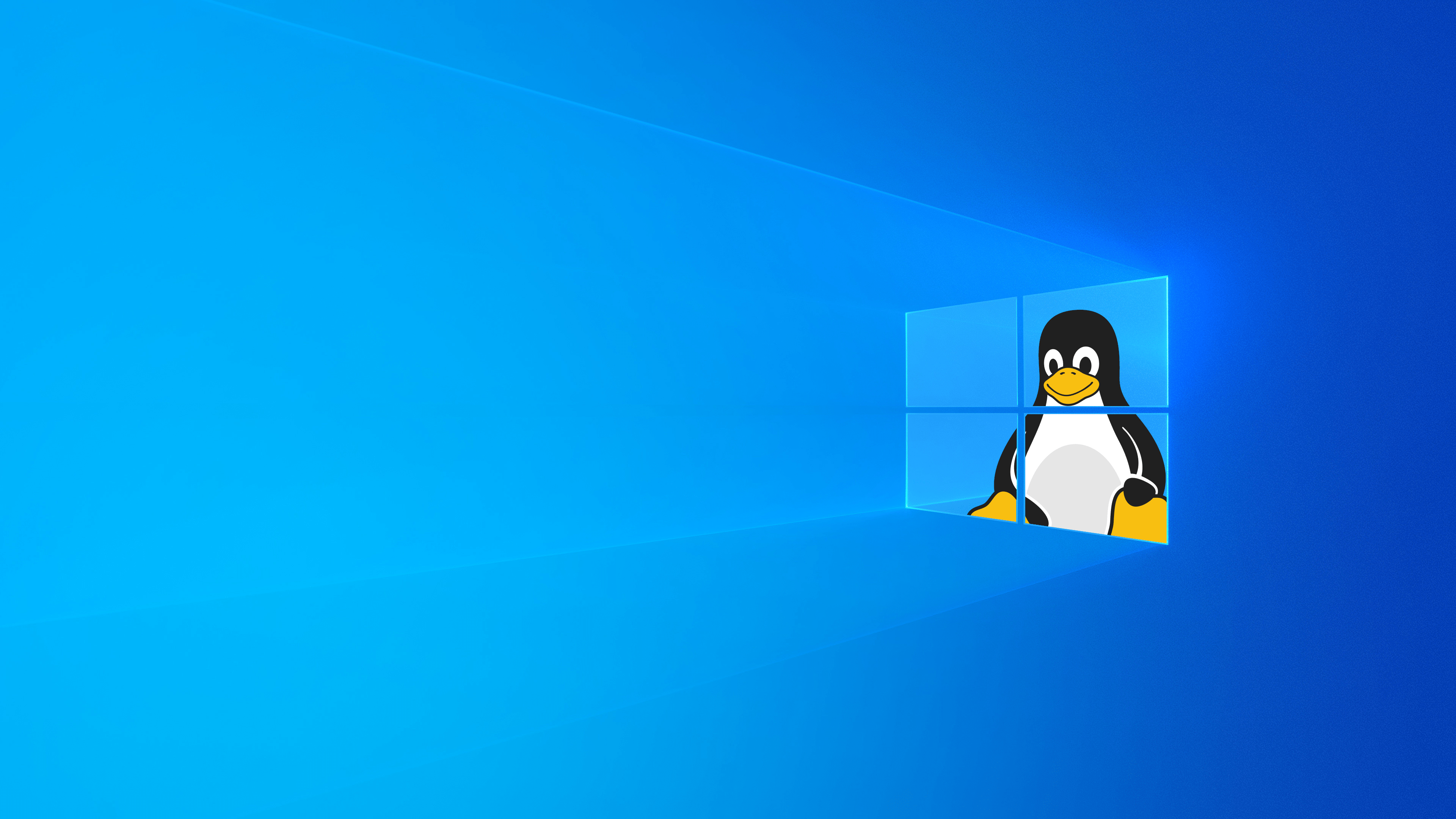 Linux b windows. Виндовс линукс. Пингвины виндовс. Заставка линукс.