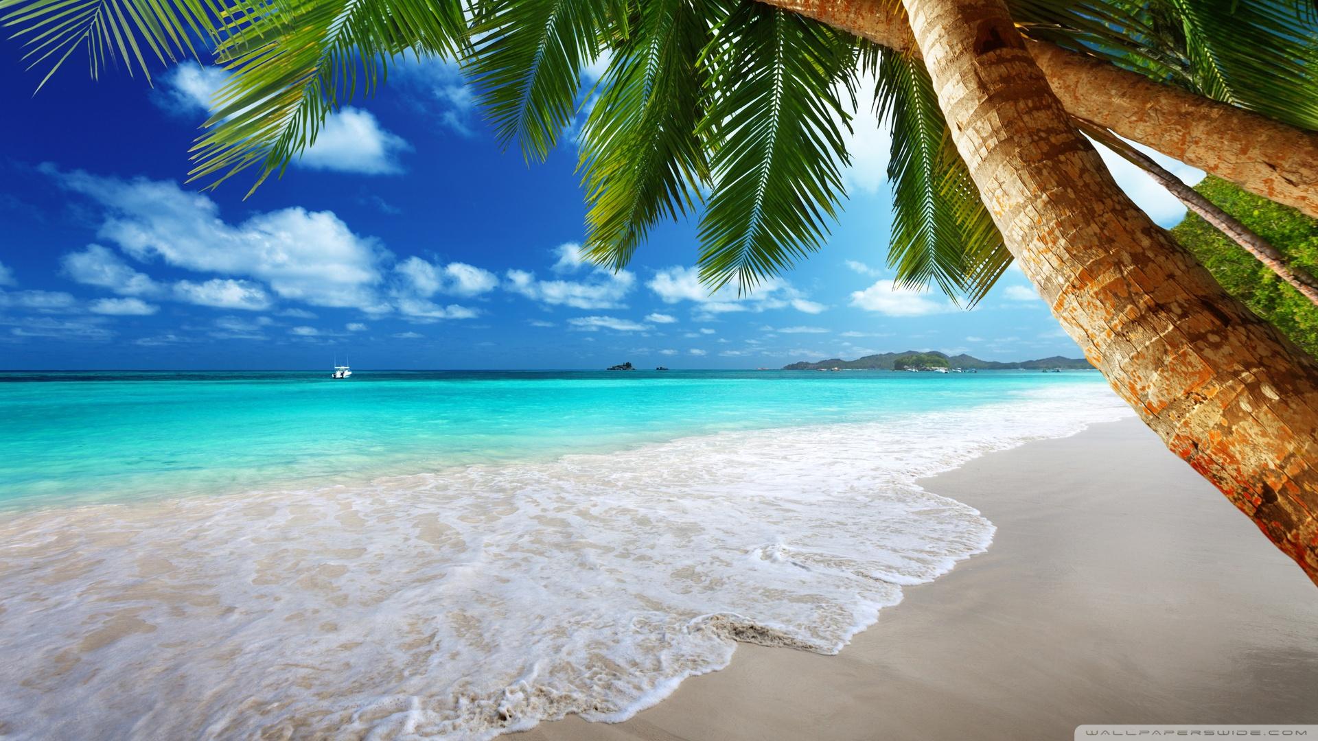 1920x1080 Desktop Wallpaper Paradise, Tropical Beach, HD Image, Picture, Background, E5agvj