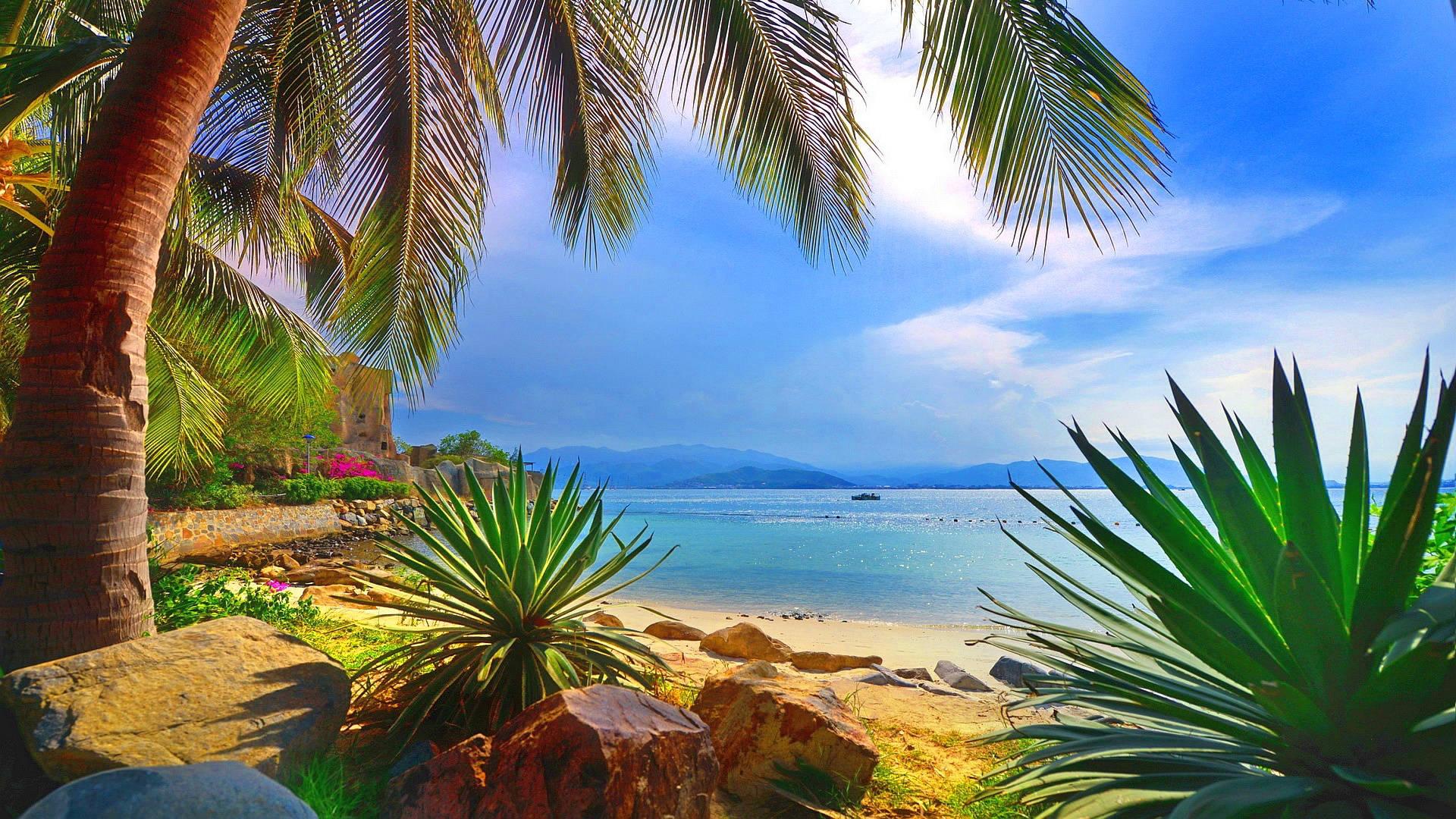 Tropical Beach Paradise Wallpapers Top Free Tropical Beach Paradise