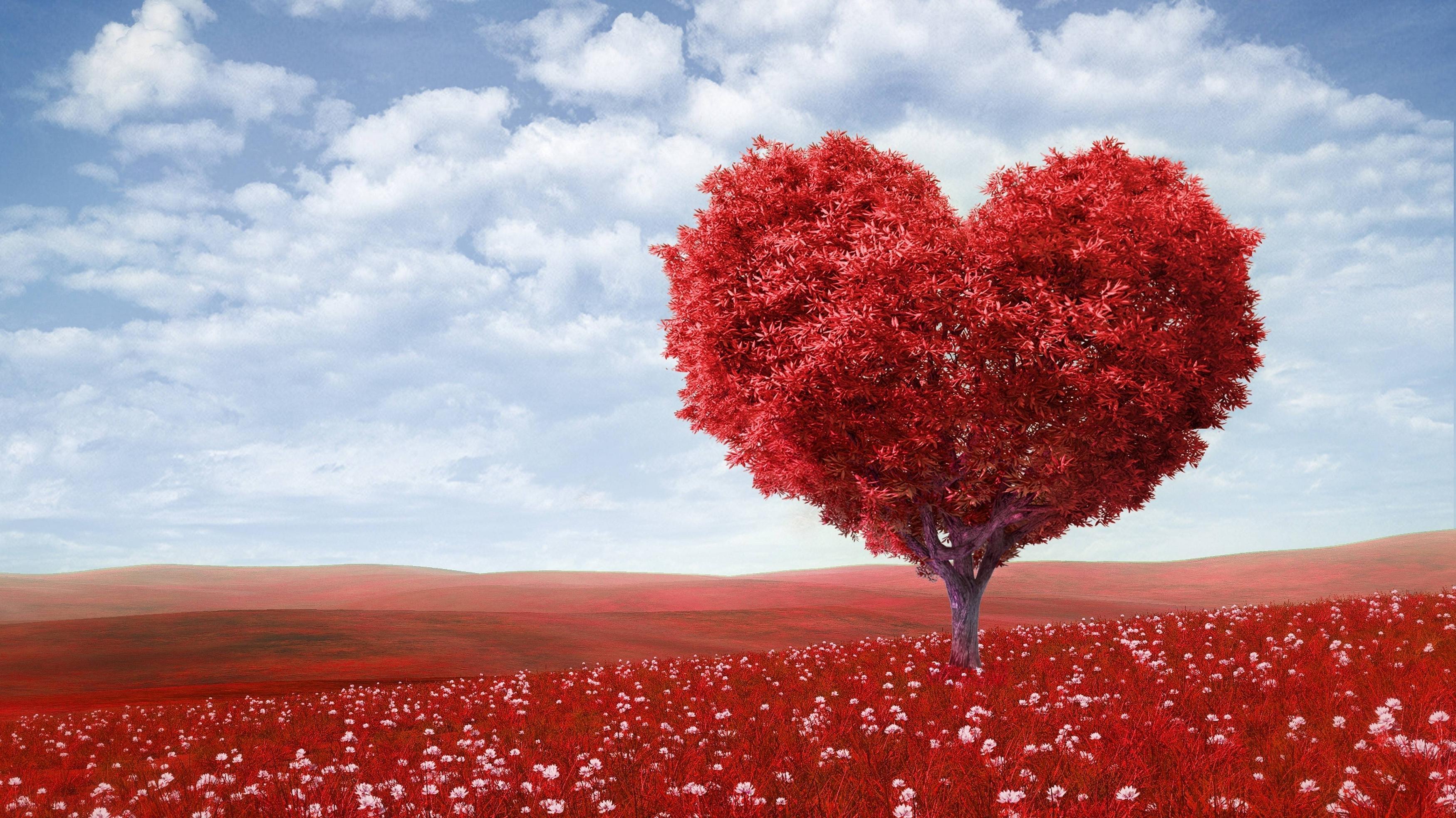 3500x1968 tree, heart, photohop Wallpaper, HD Other 4K Wallpaper, Image, Photo and Background