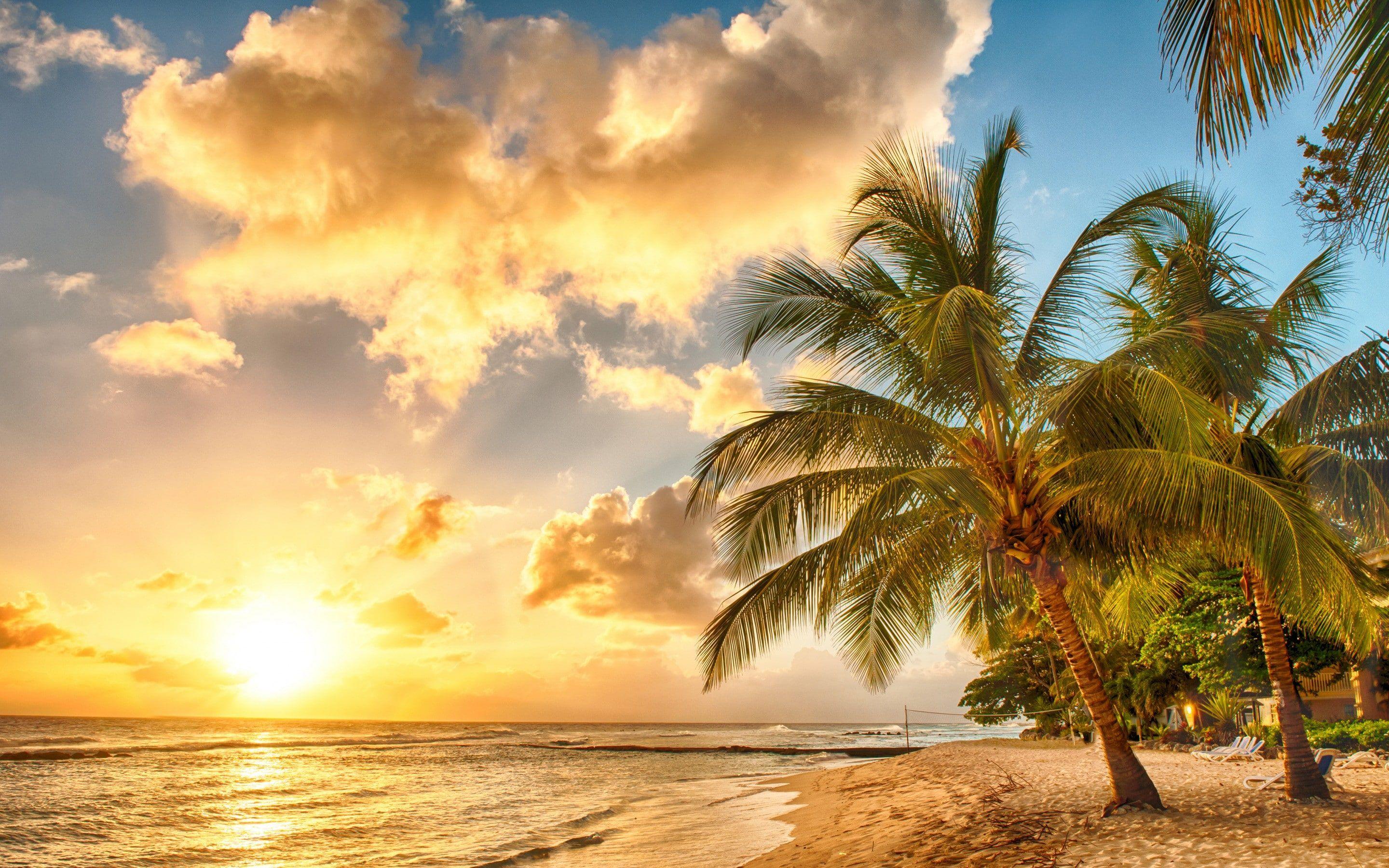 2880x1800 Ocean beach paradise #tropical #paradise #beach #palms #Sea #Ocean #Sunset K #wallpaper #hdwallpaper #desk. Sunset wallpaper, Sunrise wallpaper, Beach wallpaper