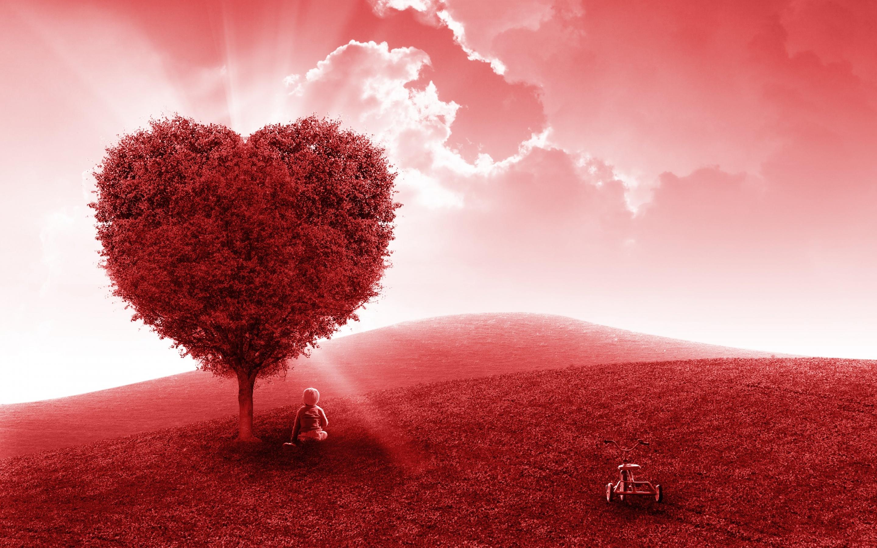 2880x1800 Landscape Wallpaper 4K, Heart tree, Fantasy