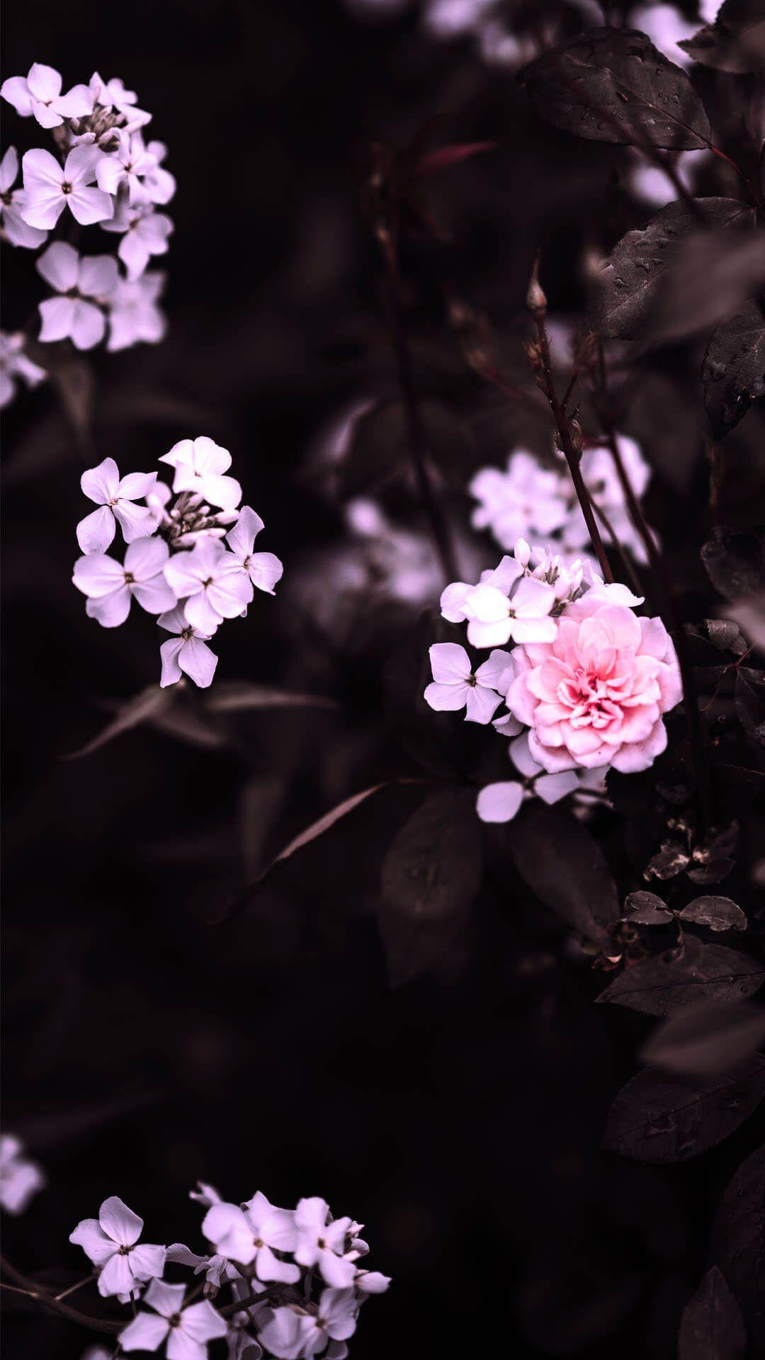 How To Set A Flowers Aesthetic Wallpaper On Iphone