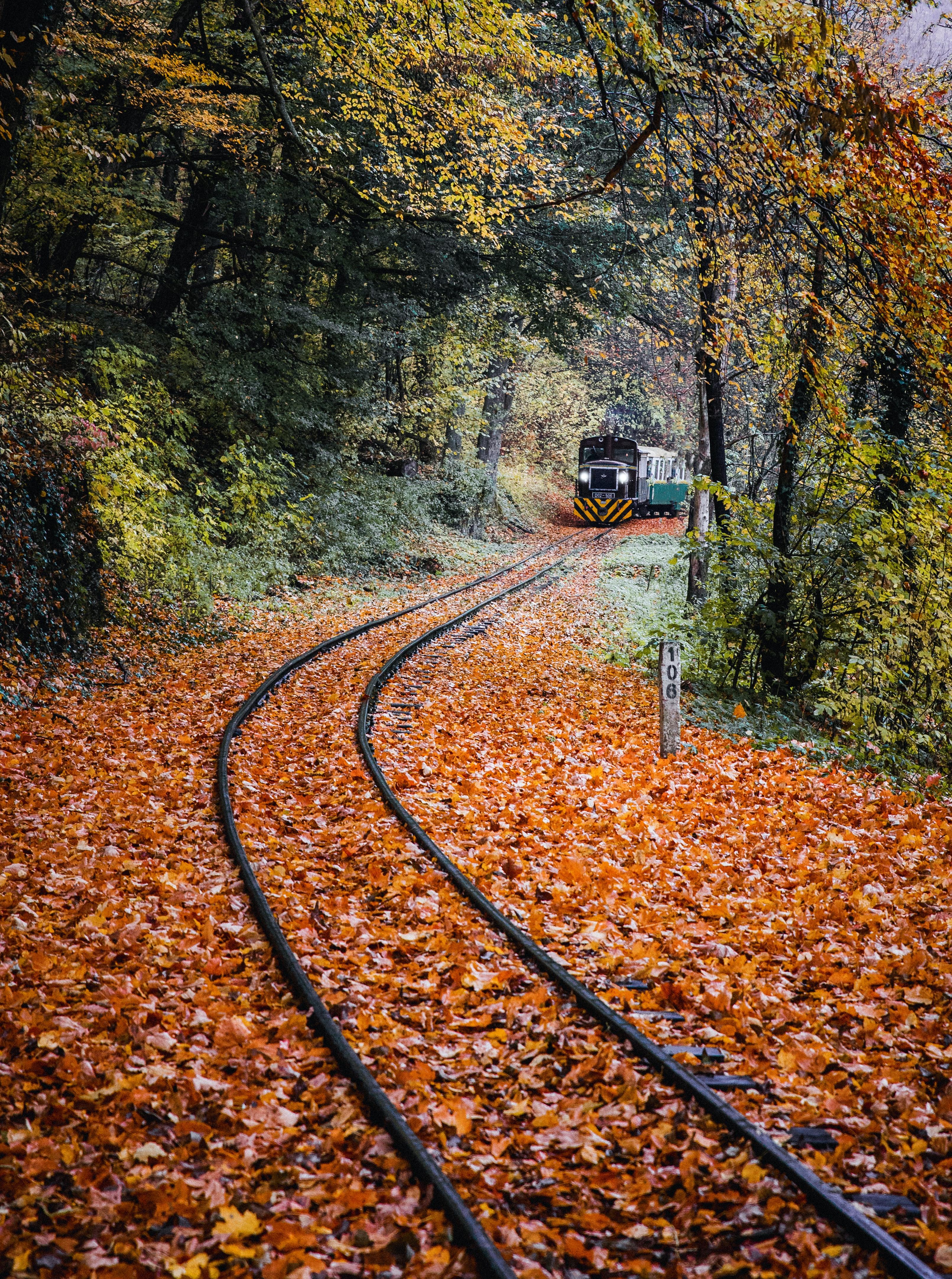 3222x4329 Railway Track Photo, Download Free Railway Track & HD Image