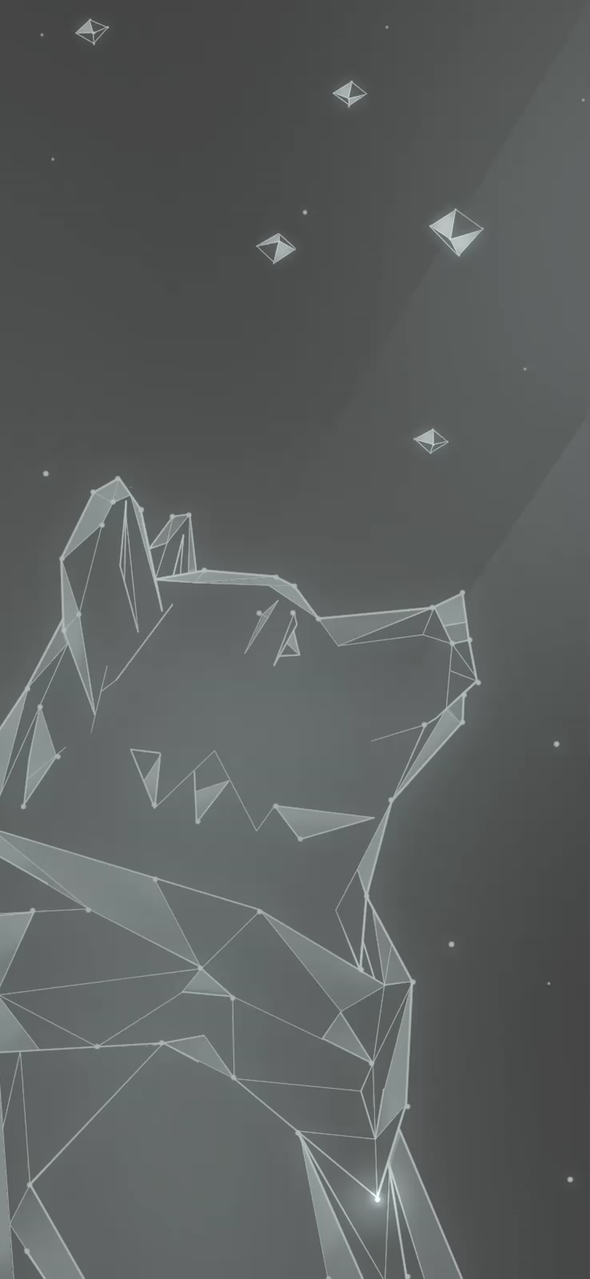 1920x4162 Ciprian Costaș Phone Wallpaper