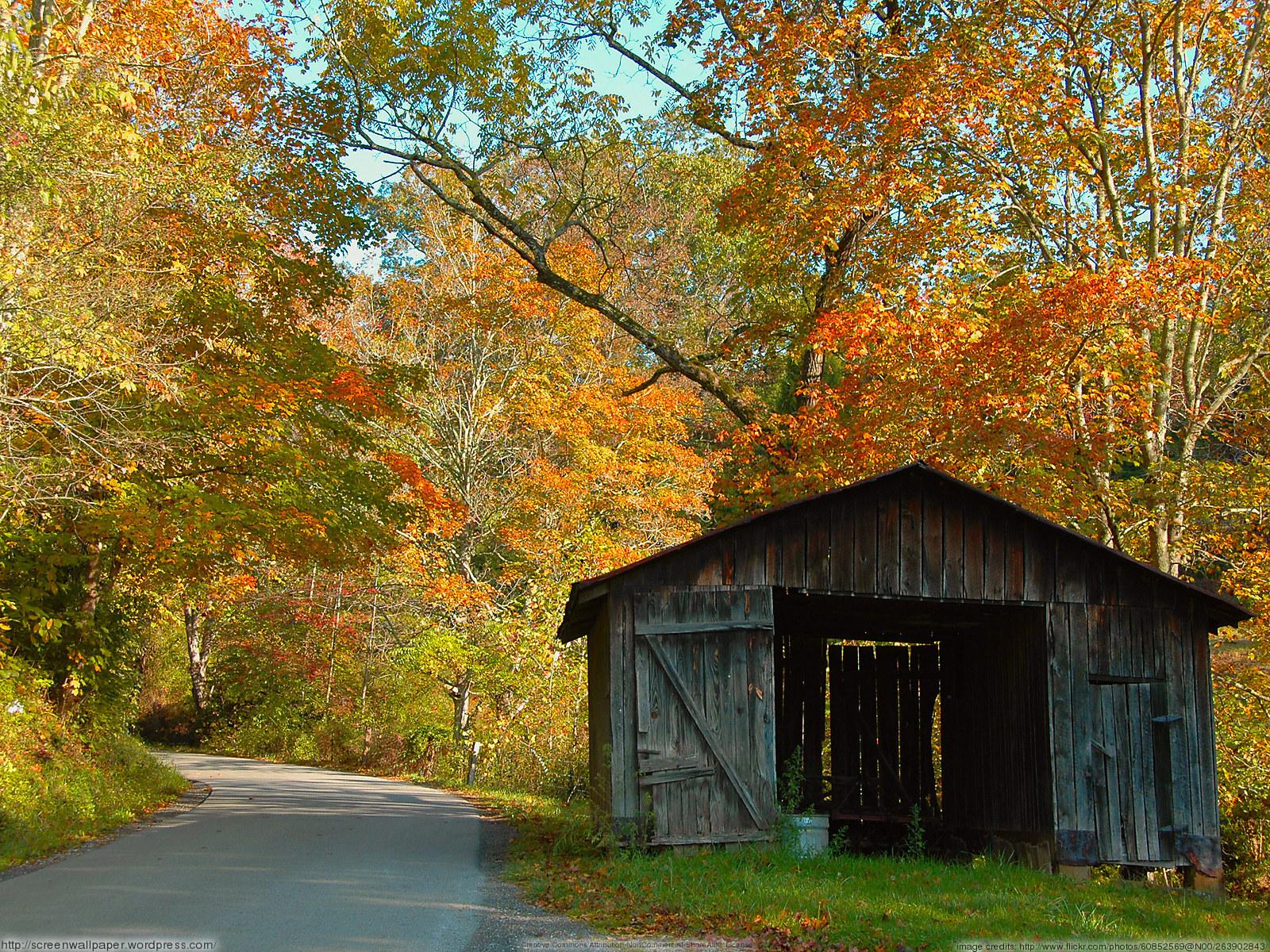 Shed Wallpapers - Top Free Shed Backgrounds - WallpaperAccess