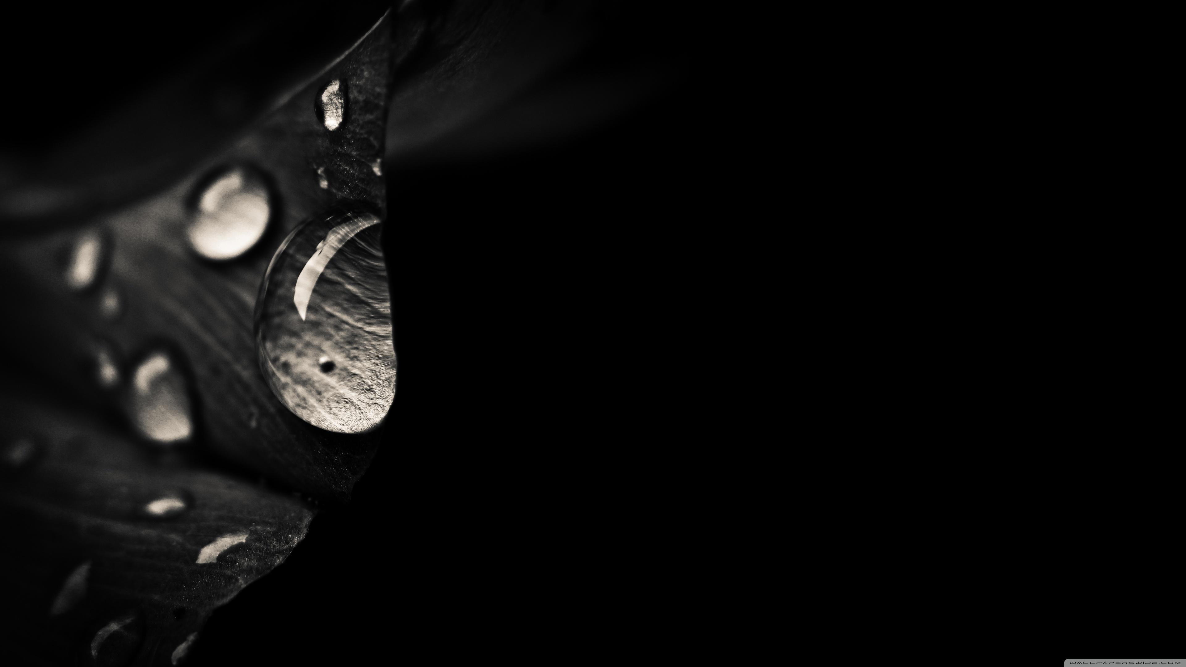 3840x2160 Sadness Ultra HD Desktop Background Wallpaper for : Widescreen & UltraWide Desktop & Laptop : Multi Display, Dual Monitor : Tablet