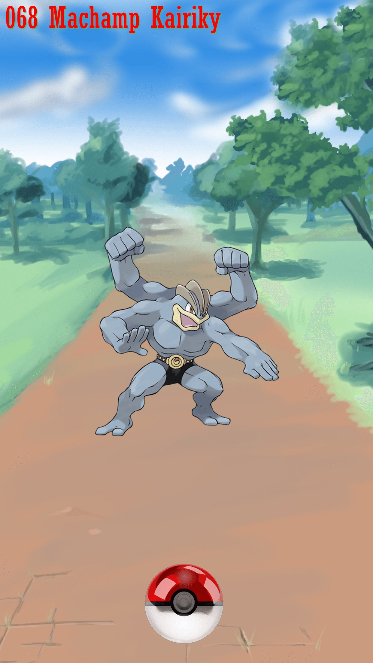 1242x2208 Machamp Wallpaper