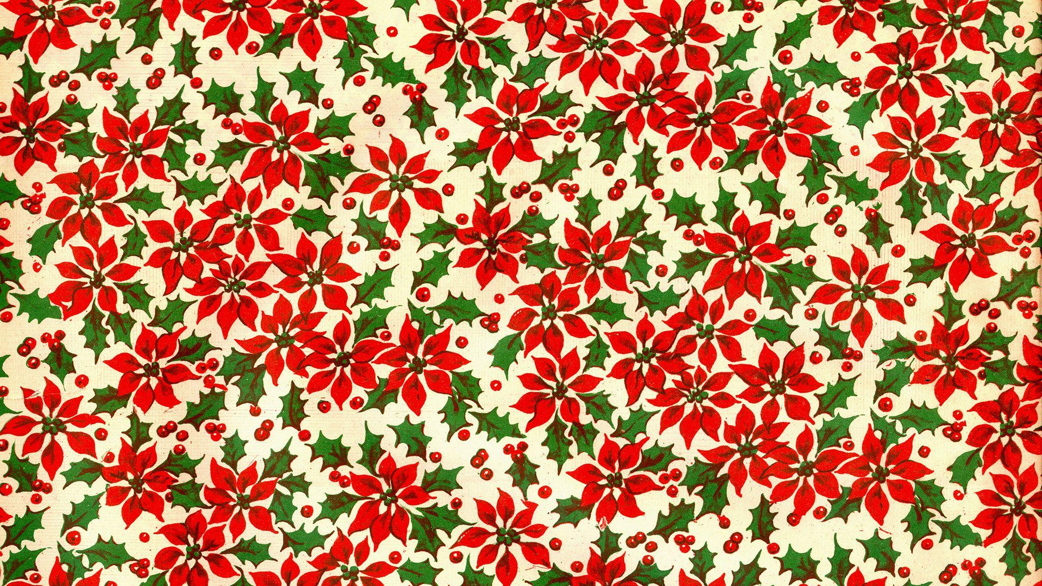 Christmas Poinsettia Wallpapers Top Free Christmas Poinsettia