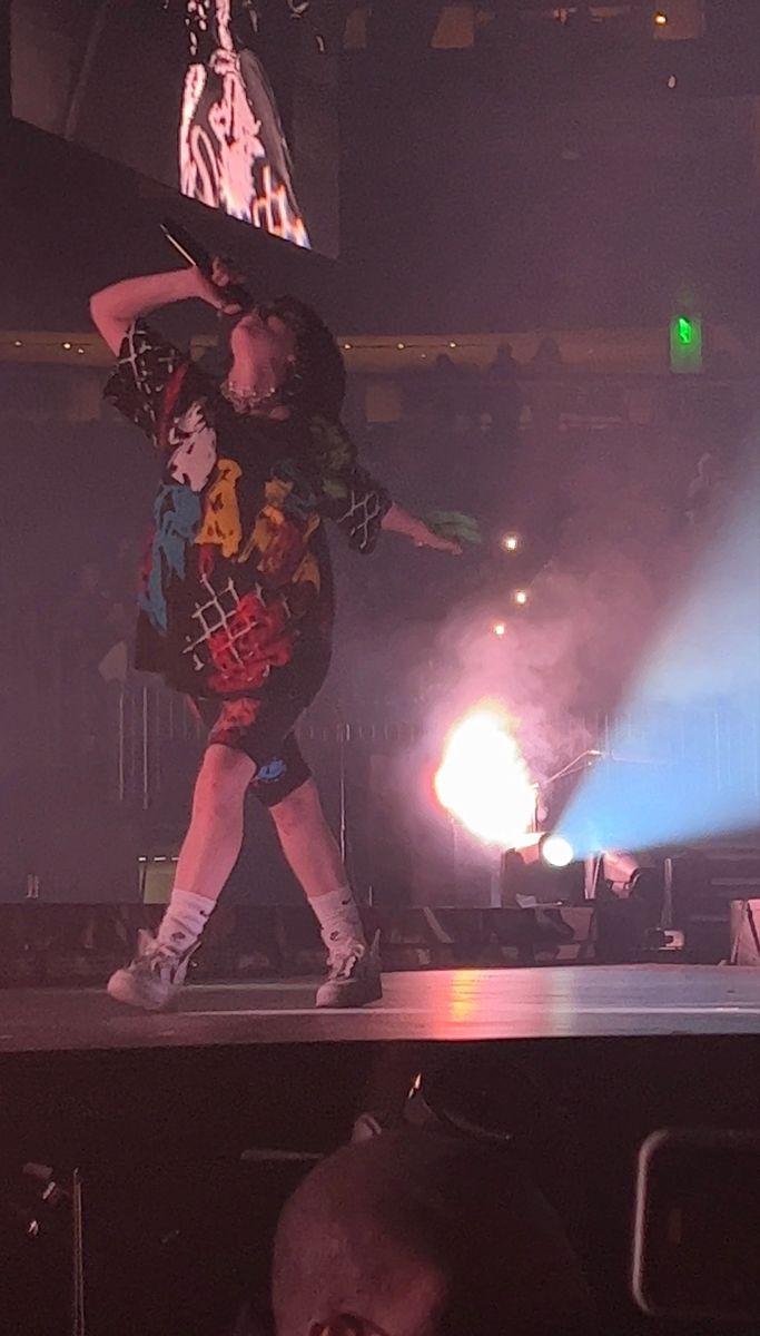 683x1200 billie eilish concert. Billie eilish, Concert, Billie