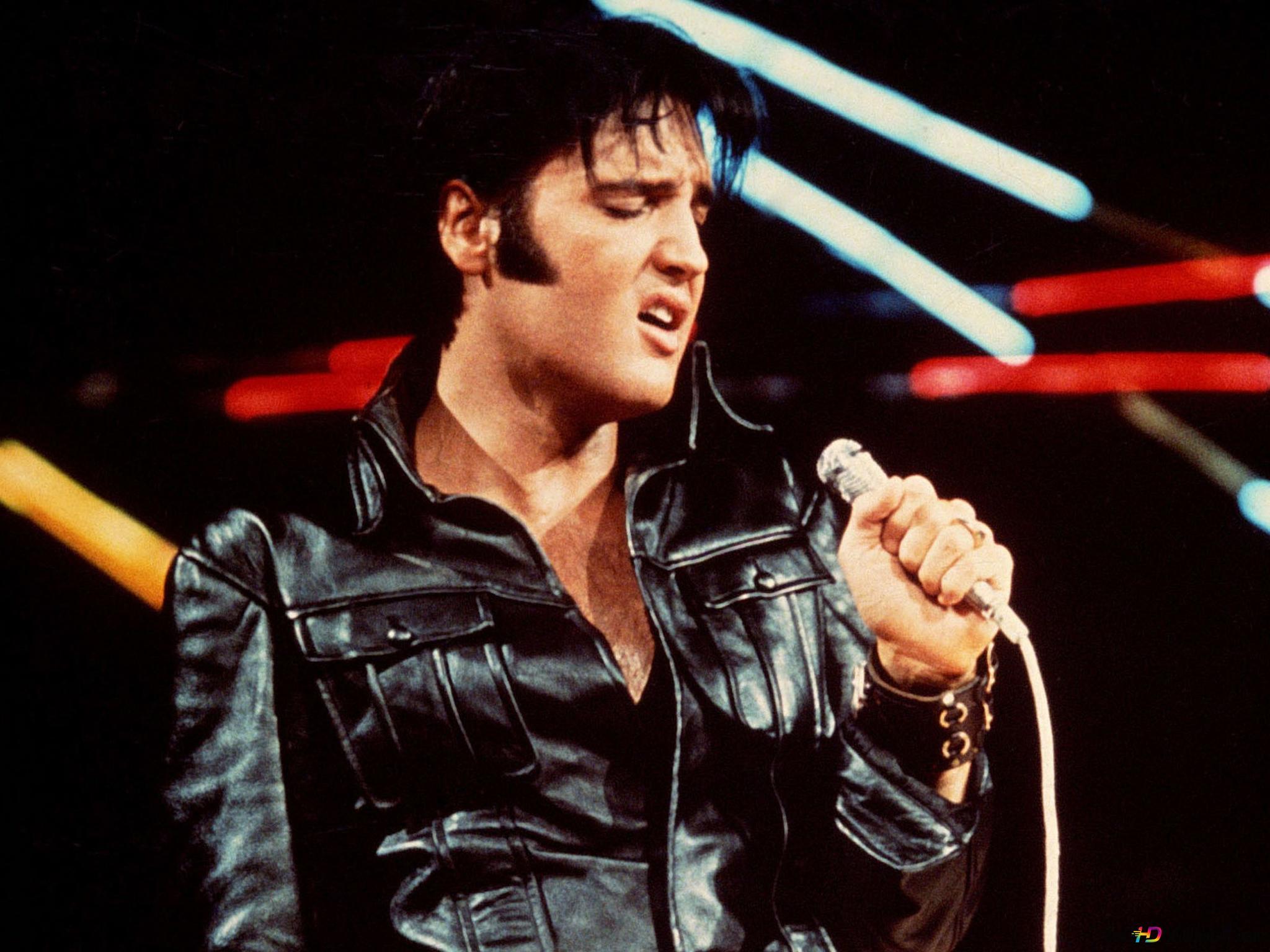 Elvis 2022 Wallpapers Top Free Elvis 2022 Backgrounds Wallpaperaccess