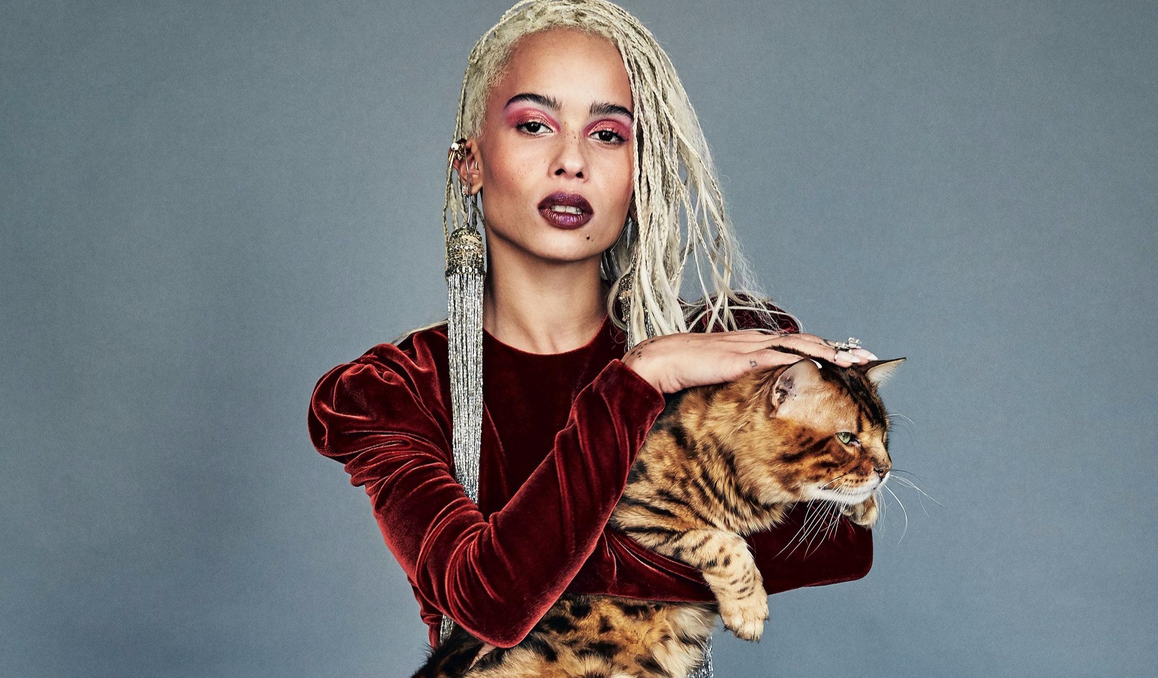 2364x1385 Zoe Kravitz With Cat Wallpaper, HD Celebrities 4K Wallpaper, Image, Photo and Background