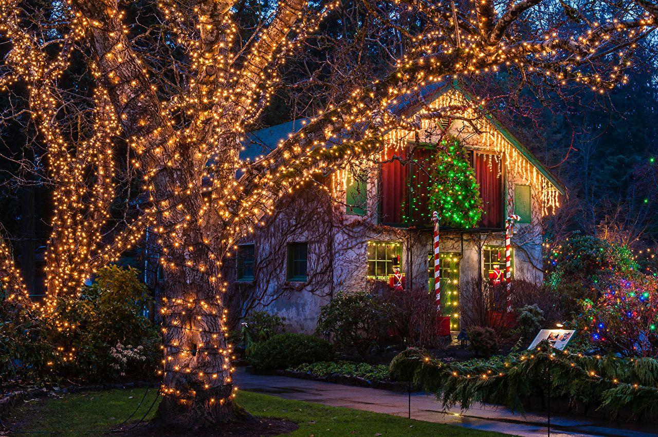 1280x851 Photo Vancouver Canada Christmas Butchart Gardens christmas Night