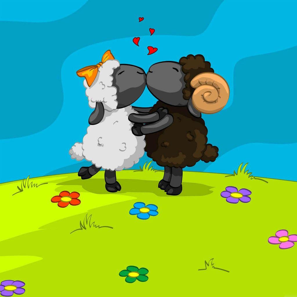 1024x1024 Best Sheep iPad HD Wallpaper