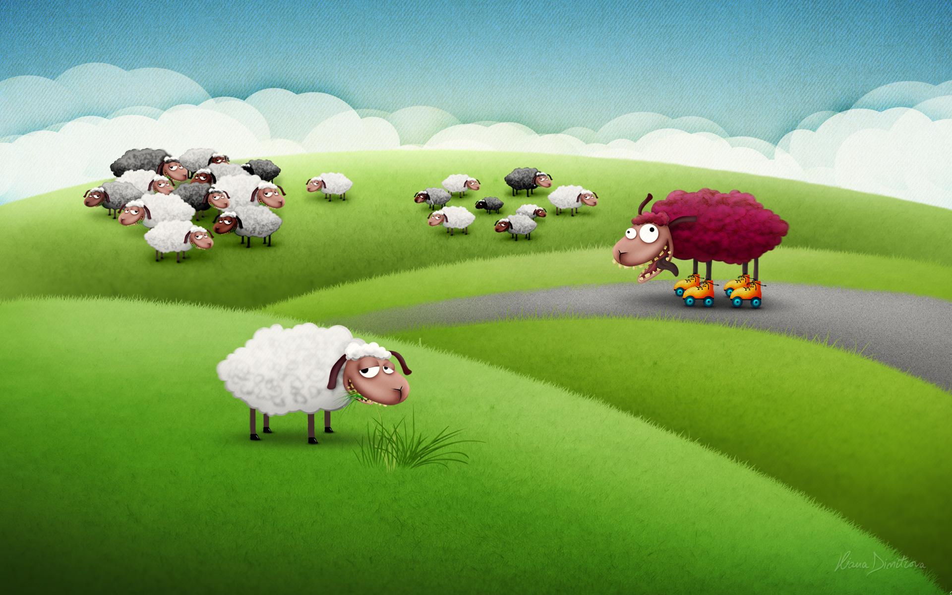 1920x1200 Sheep wallpaper