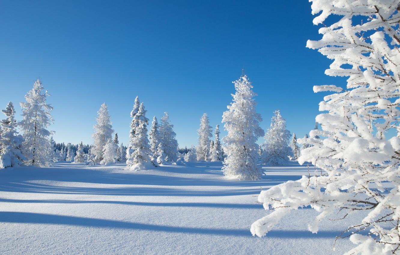 1332x850 Wallpaper winter, snow, trees, Canada, Canada, Northwest Territories, Northwest territories, Kakisa, Kakisa image for desktop, section пейзажи