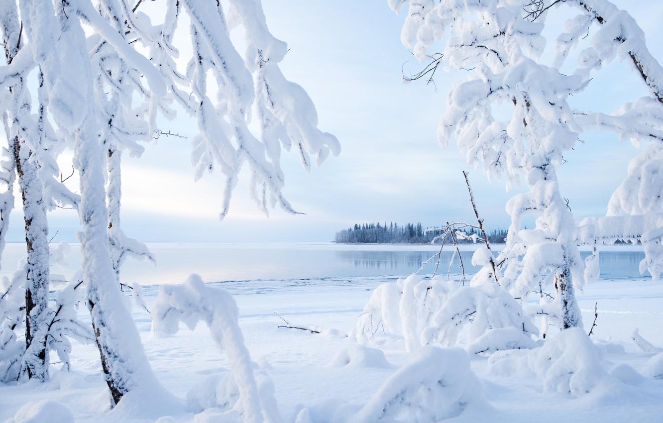 1332x850 Wallpaper winter, snow, trees, branches, lake, Canada, Canada, Northwest Territories, Lake Kakisa, Two Lake, Northwest territories image for desktop, section пейзажи