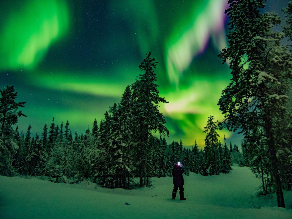 1024x768 Winter Auroras in the Northwest Territories
